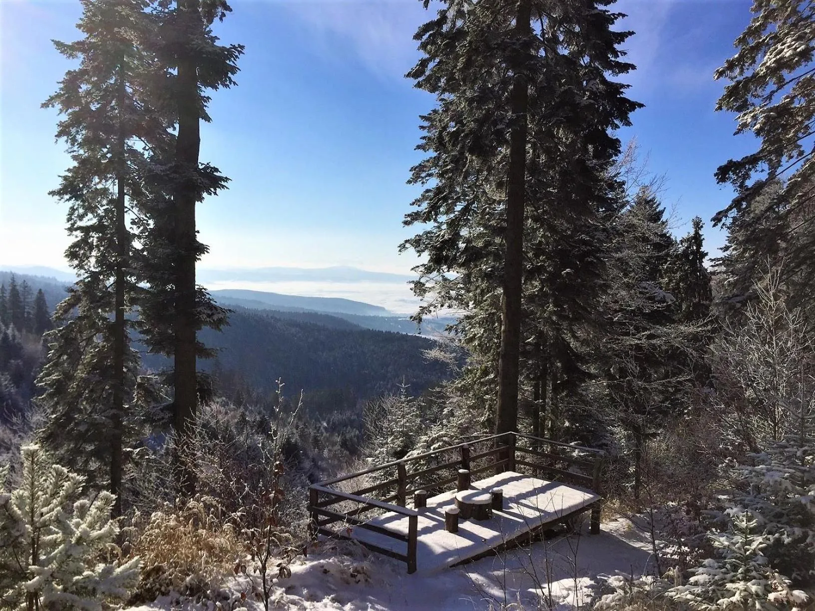 Day in Zabola Estate - Transylvania