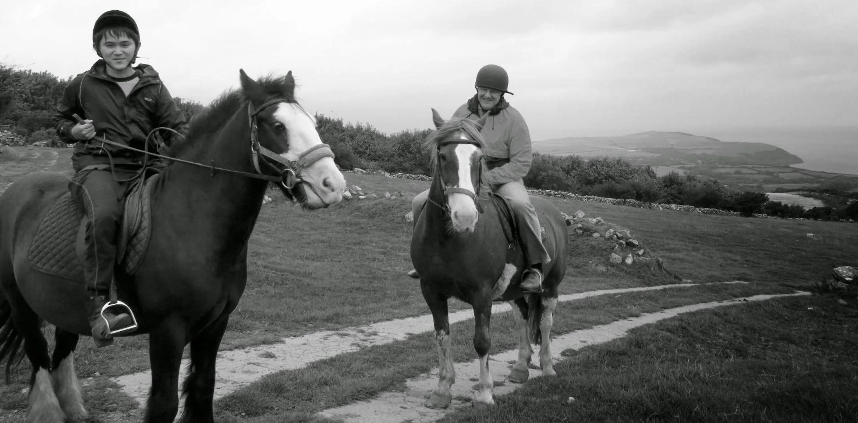 Horse-riding in Ivybridge Guesthouse