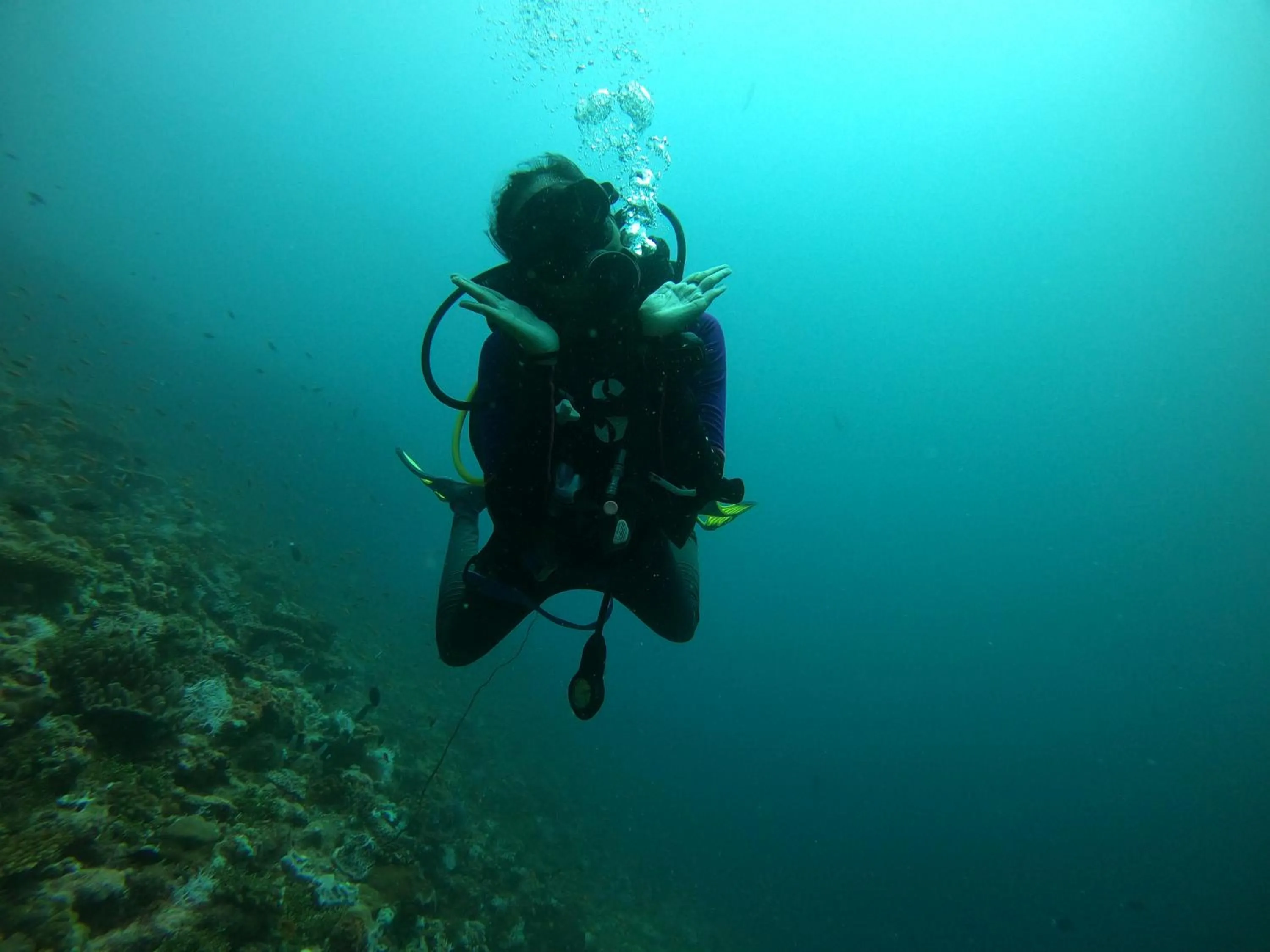 Natural landscape in Manta Sea View Himandhoo