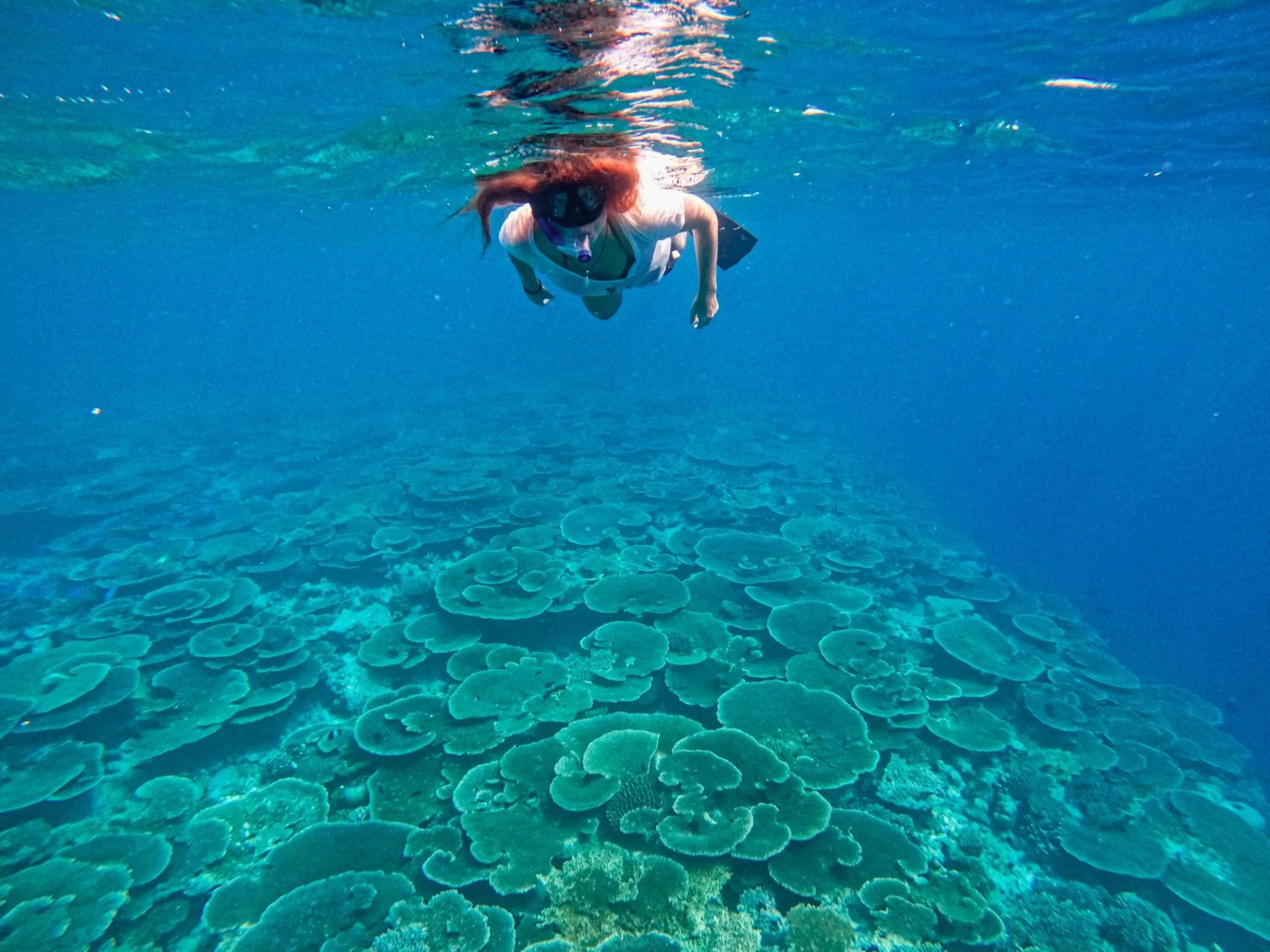 Natural landscape in Manta Sea View Himandhoo