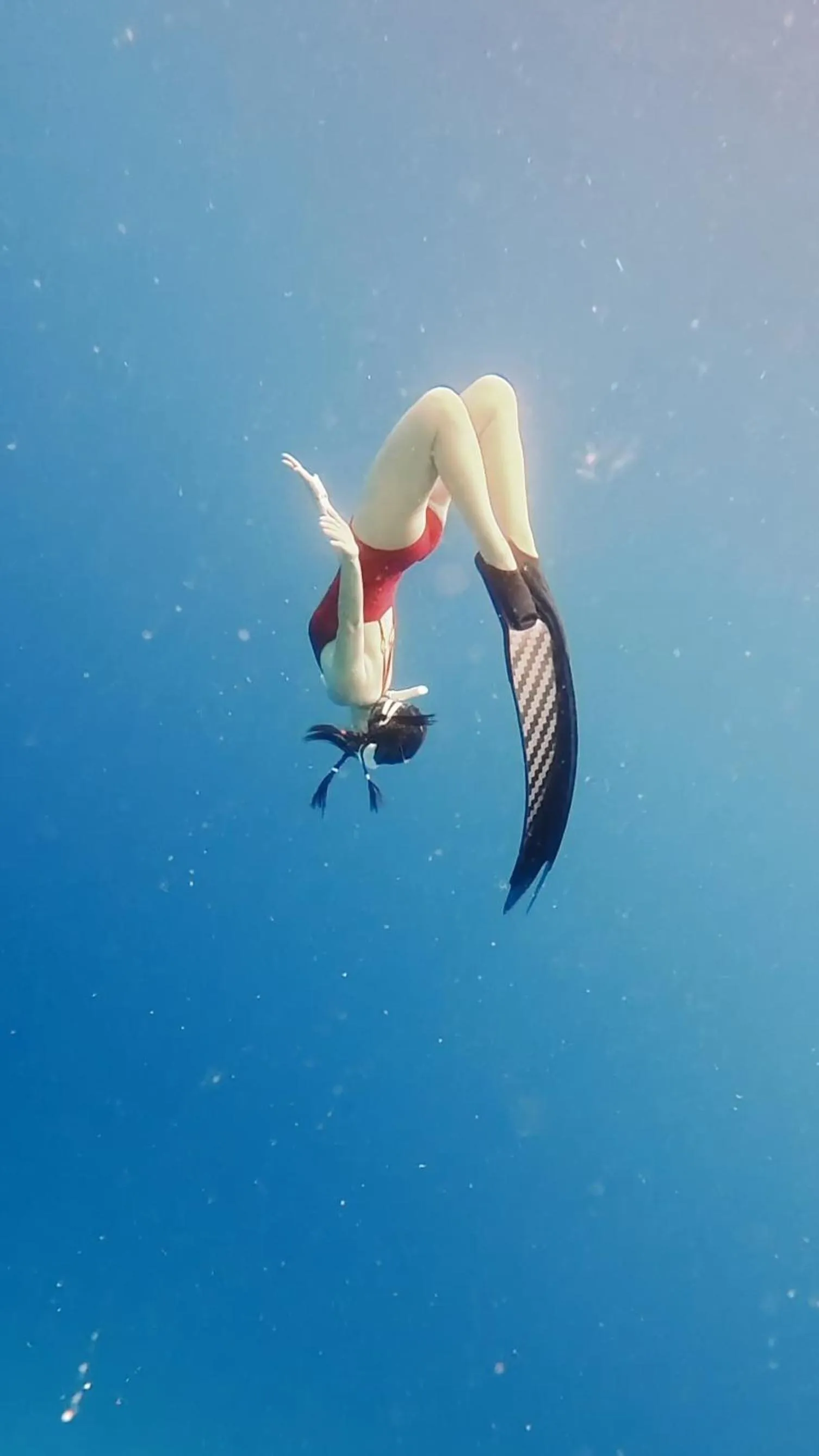 Snorkeling in Manta Sea View Himandhoo