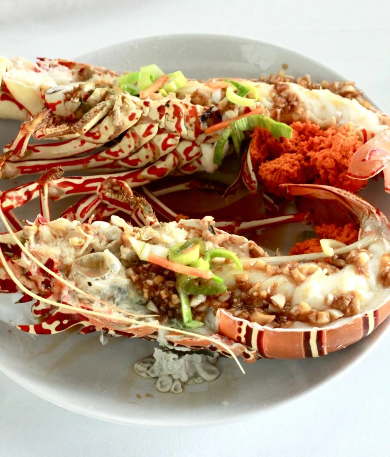 Manta Sea View Himandhoo