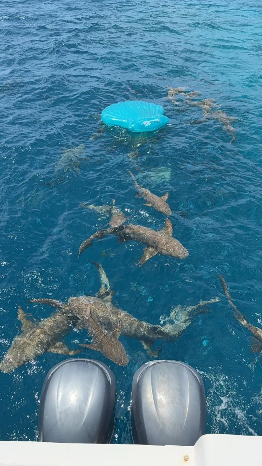 Manta Sea View Himandhoo