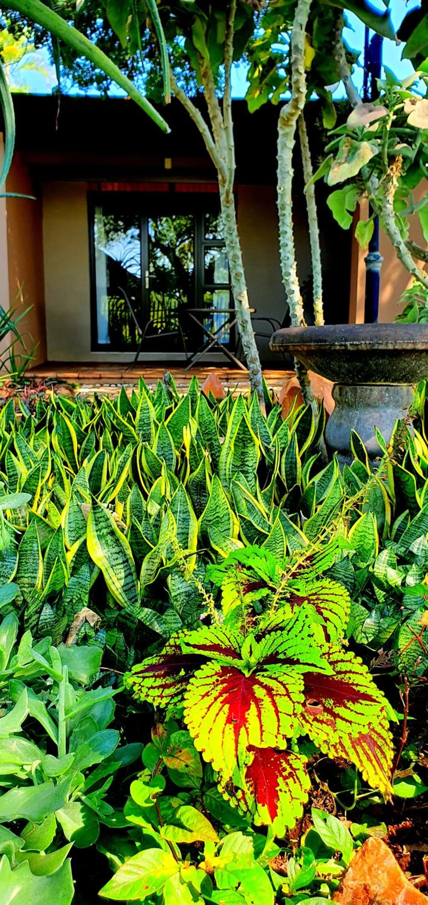 Garden in Barnstormers Rest