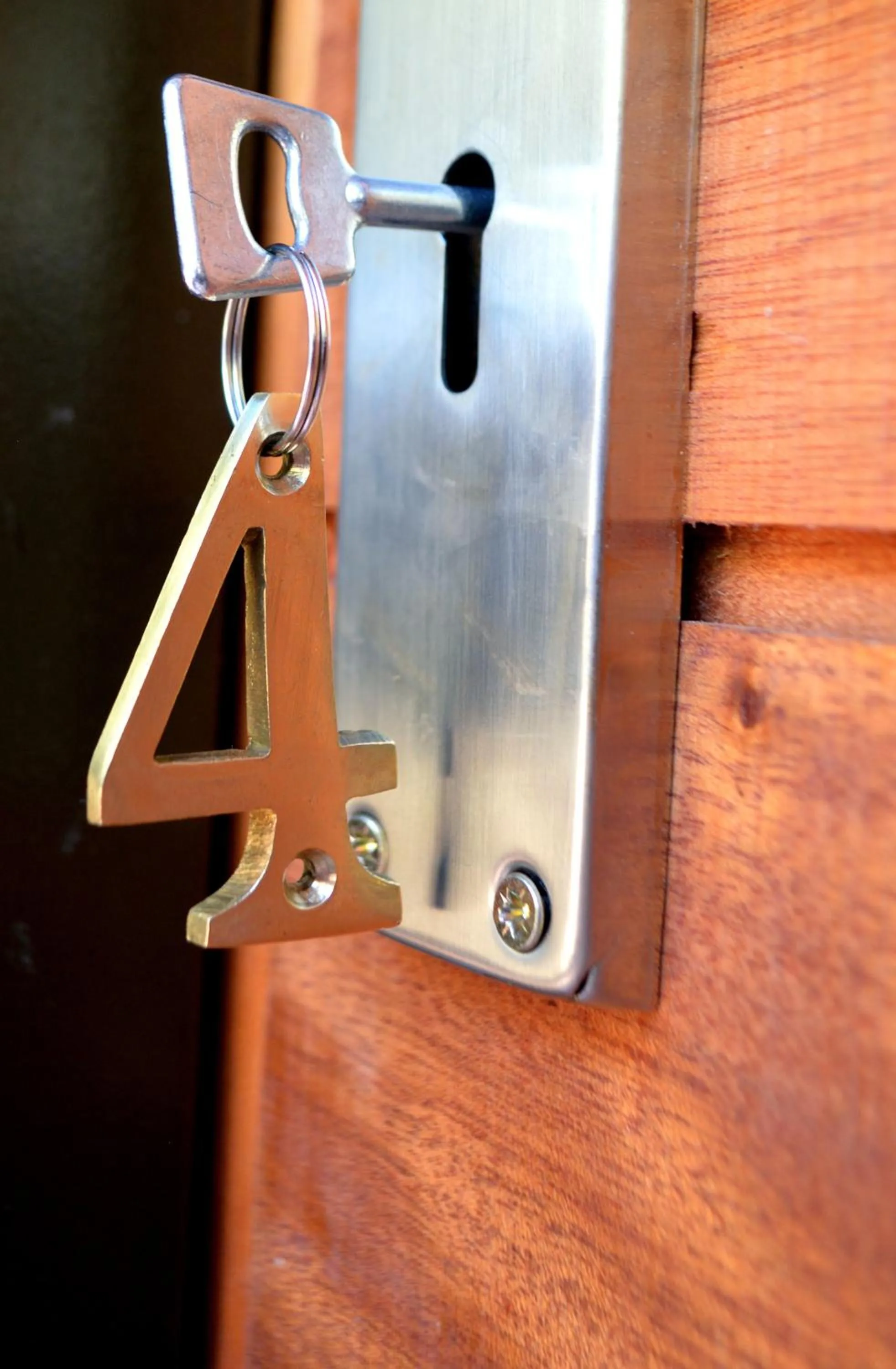 Other in Barnstormers Rest