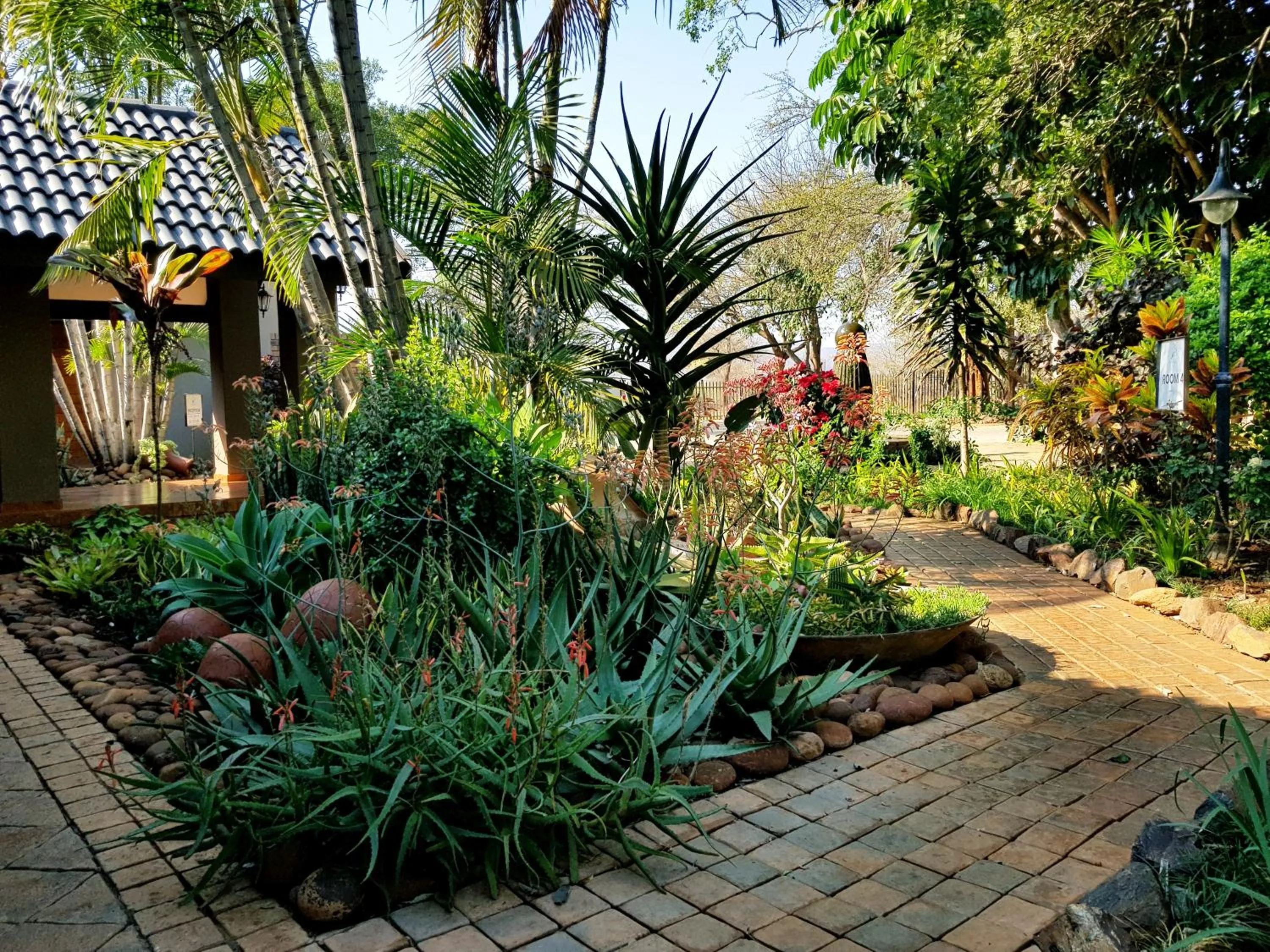 Garden in Barnstormers Rest