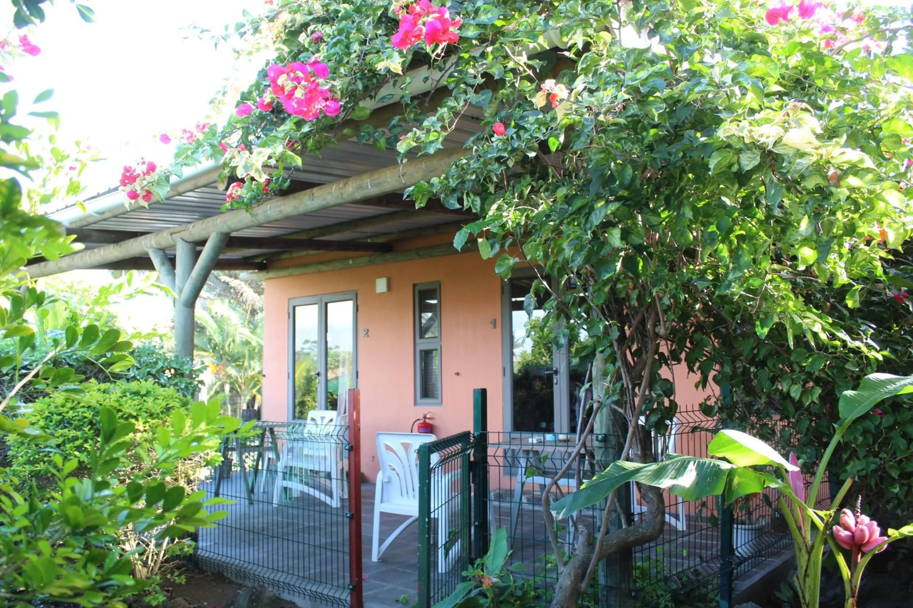 Balcony/Terrace in Gite des Acacias