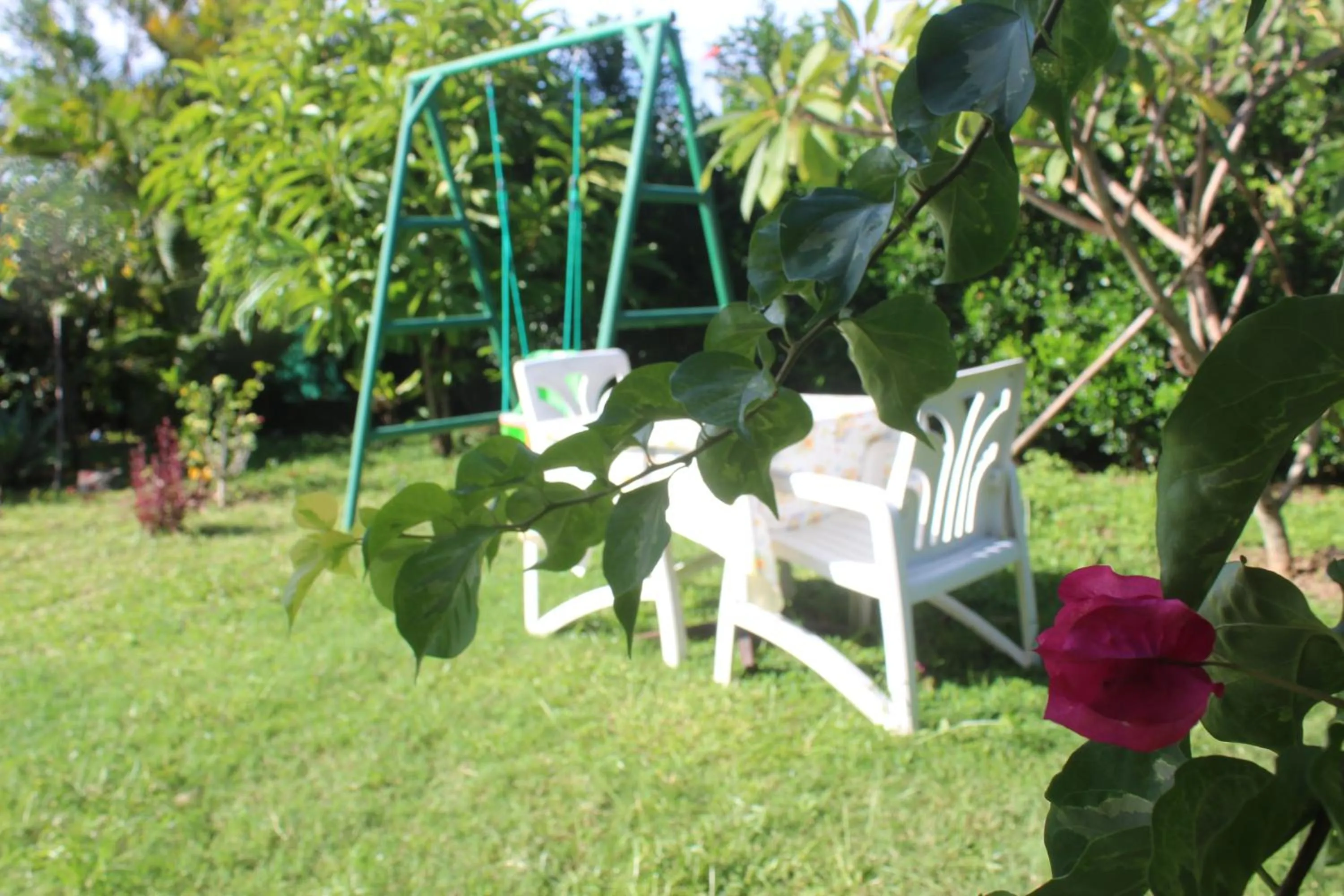 Day in Gite des Acacias