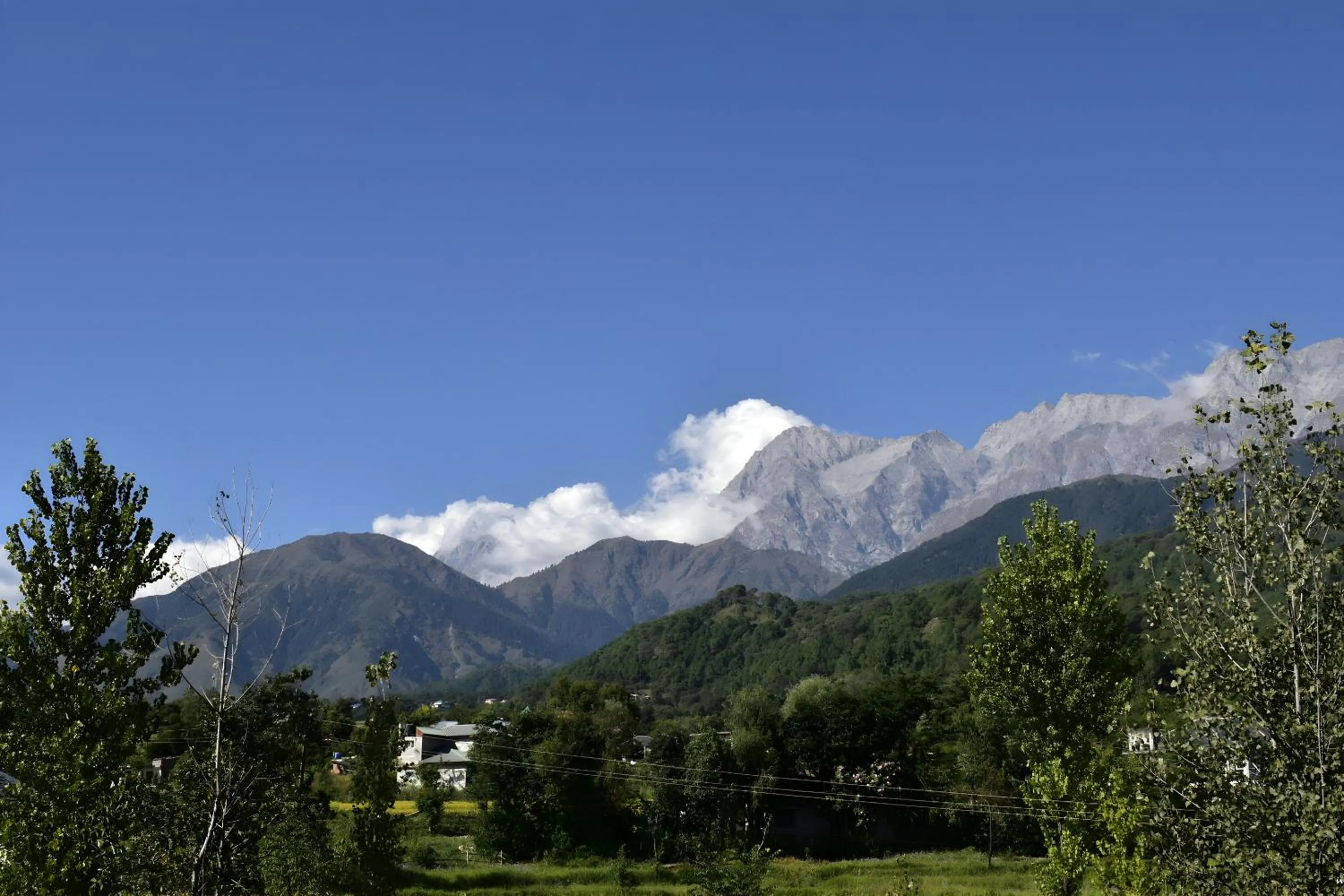View (from property/room) in Aotel by Clarks Inn Palampur