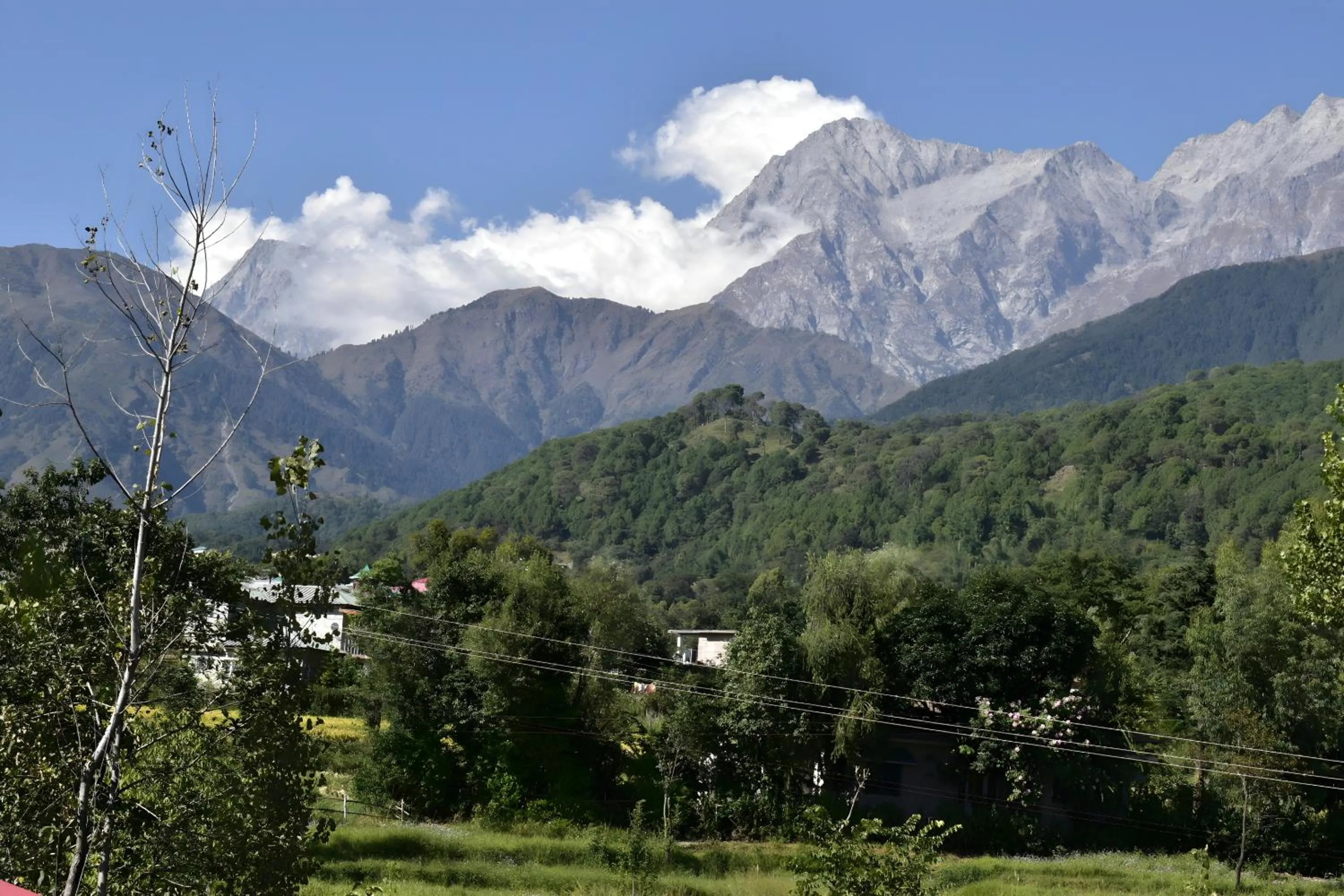 View (from property/room) in Aotel by Clarks Inn Palampur