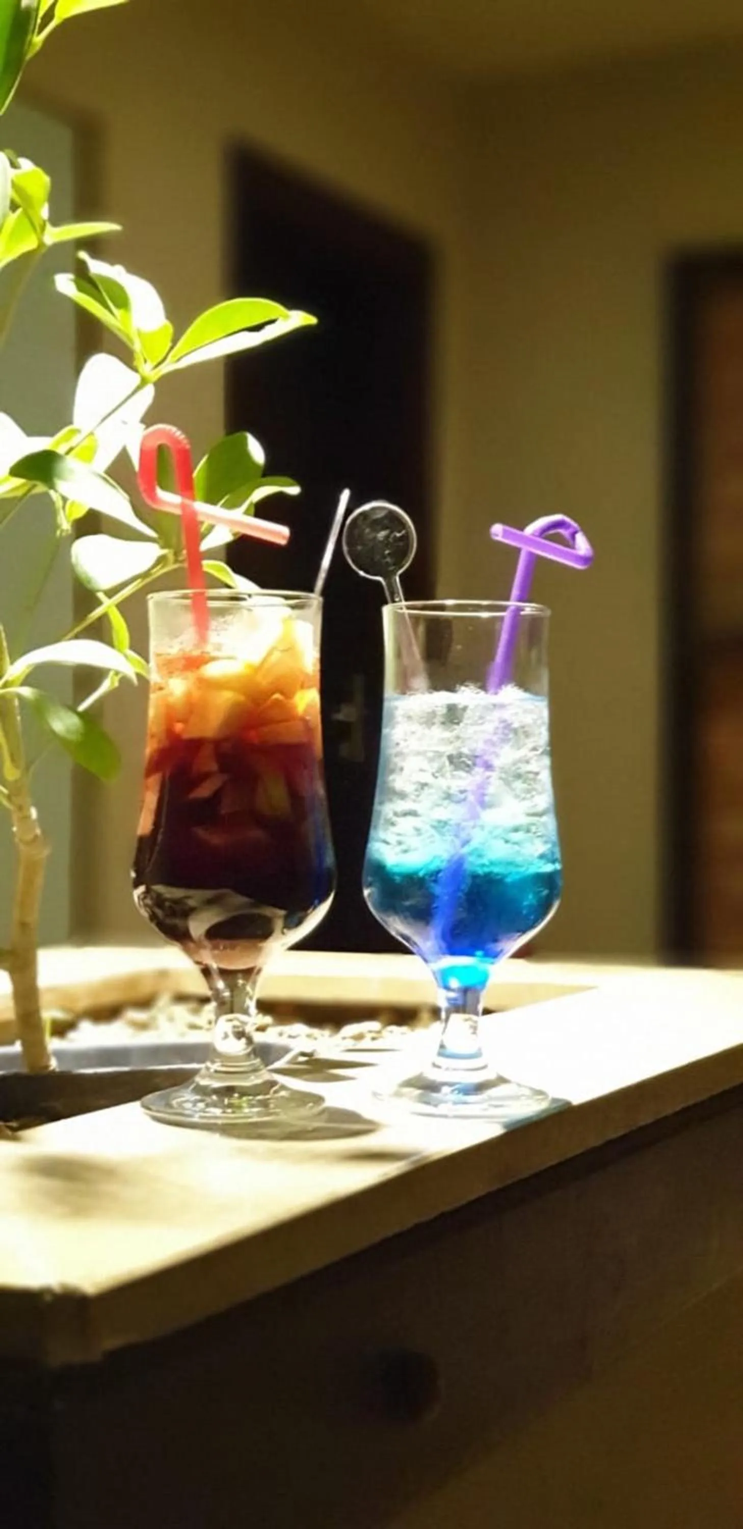 Drinks in Panacea Suites Hotel