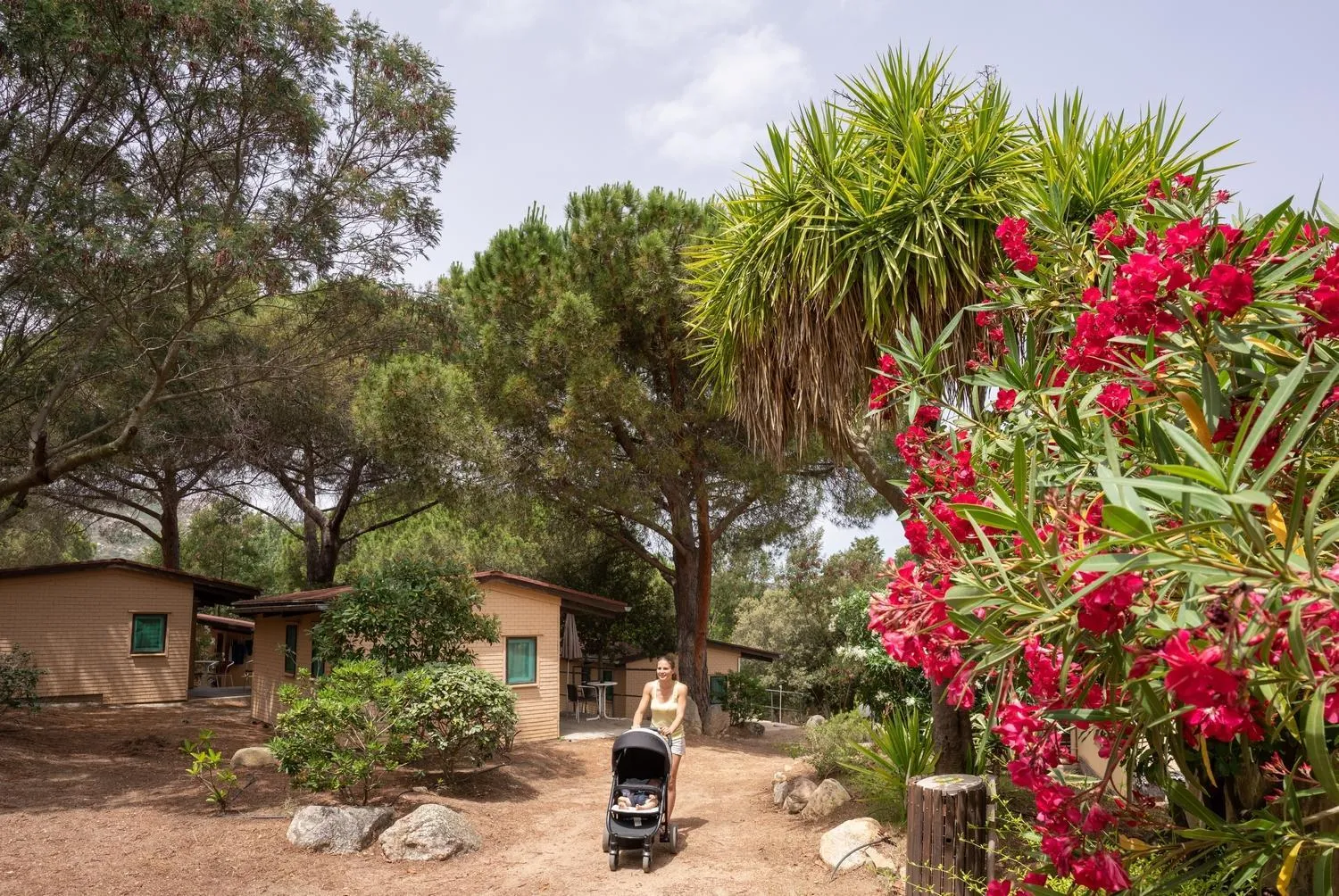 Property building in Feriendorf zum störrischen Esel