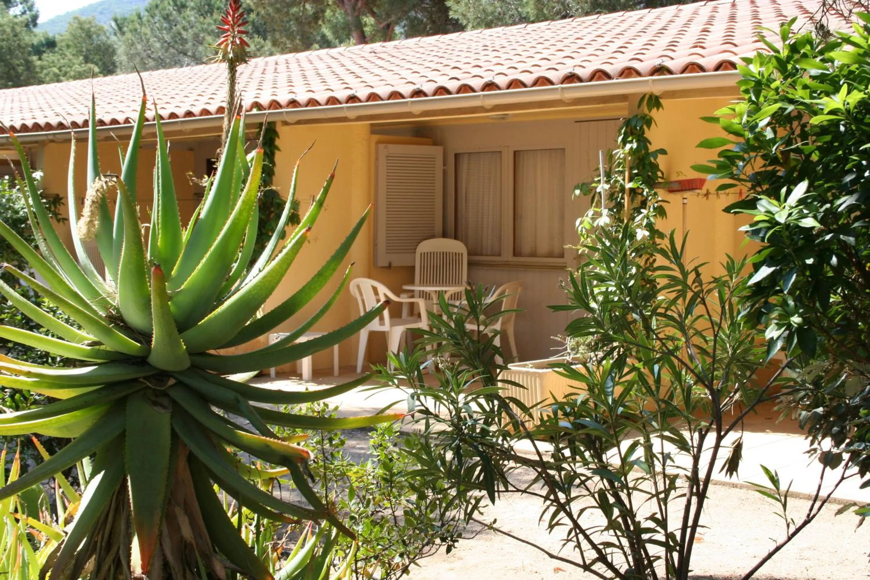 Property building in Feriendorf zum störrischen Esel