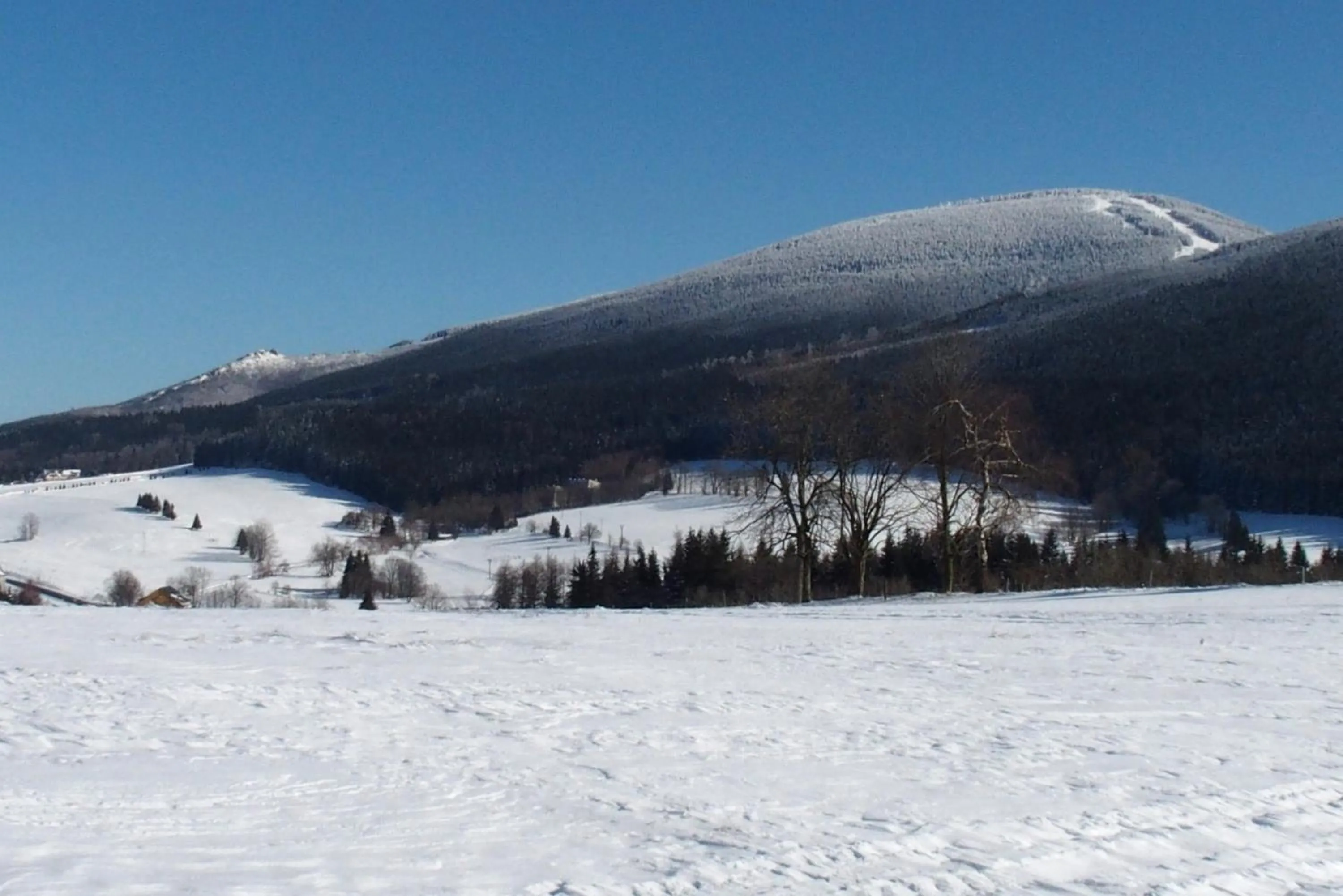 Neighbourhood in Horský Hotel Skiland