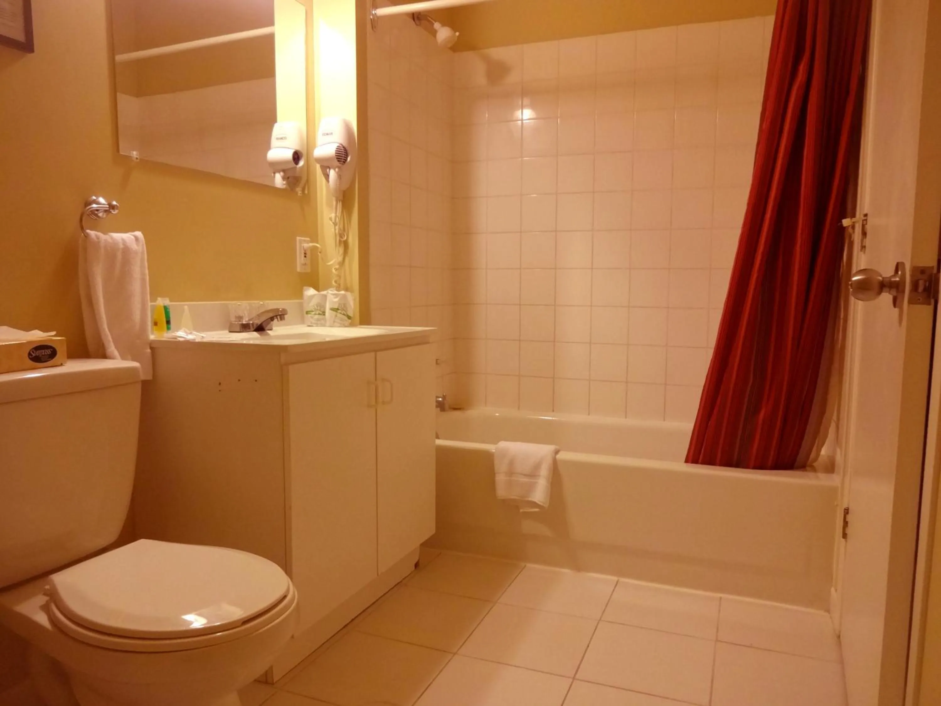 Toilet in Hotel Alila