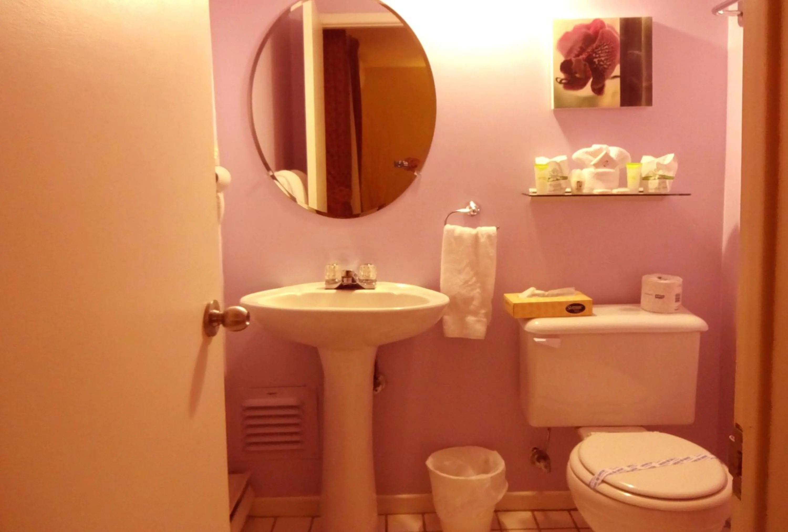 Toilet in Hotel Alila