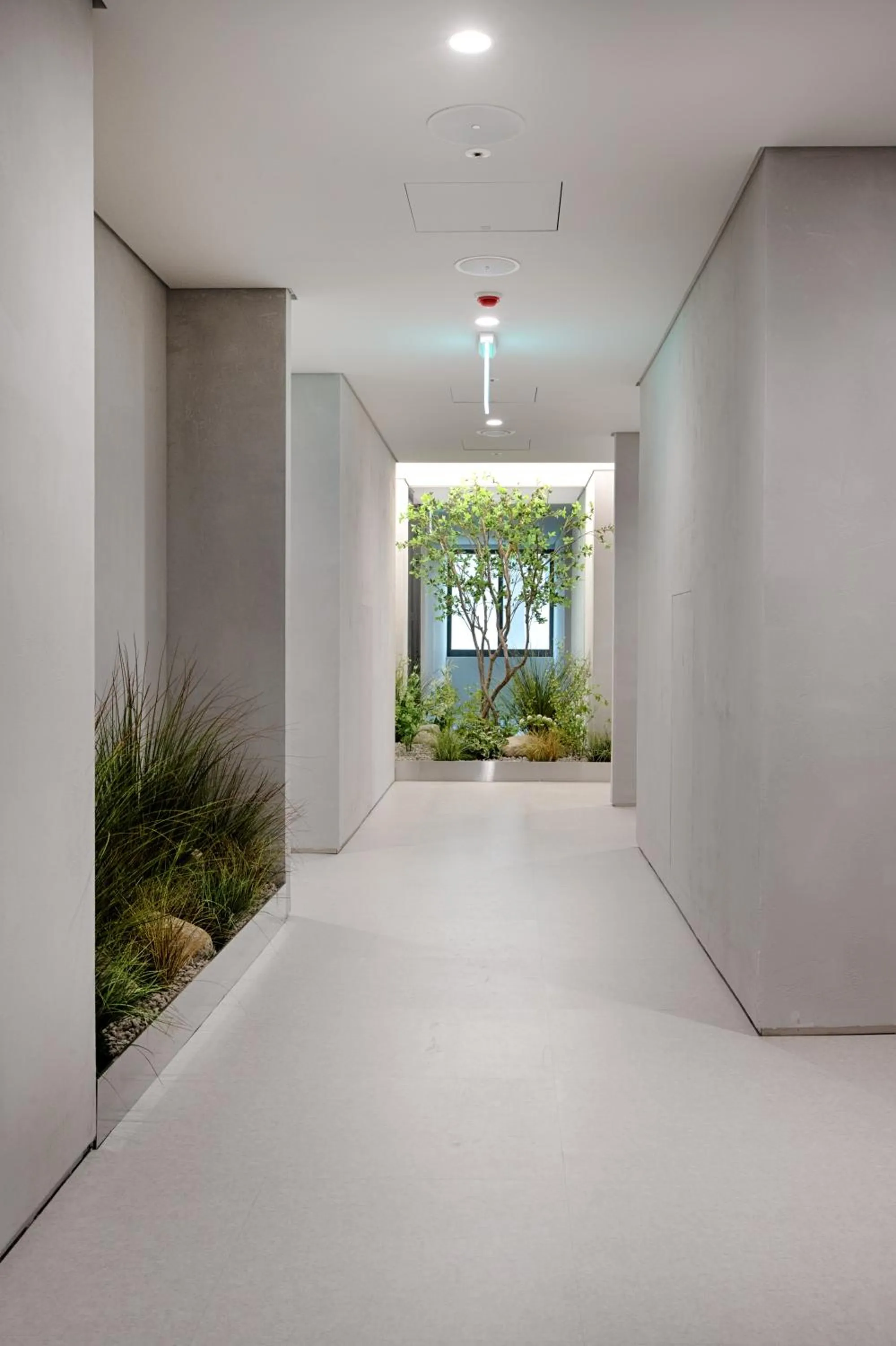 Lobby or reception in Union Hotel