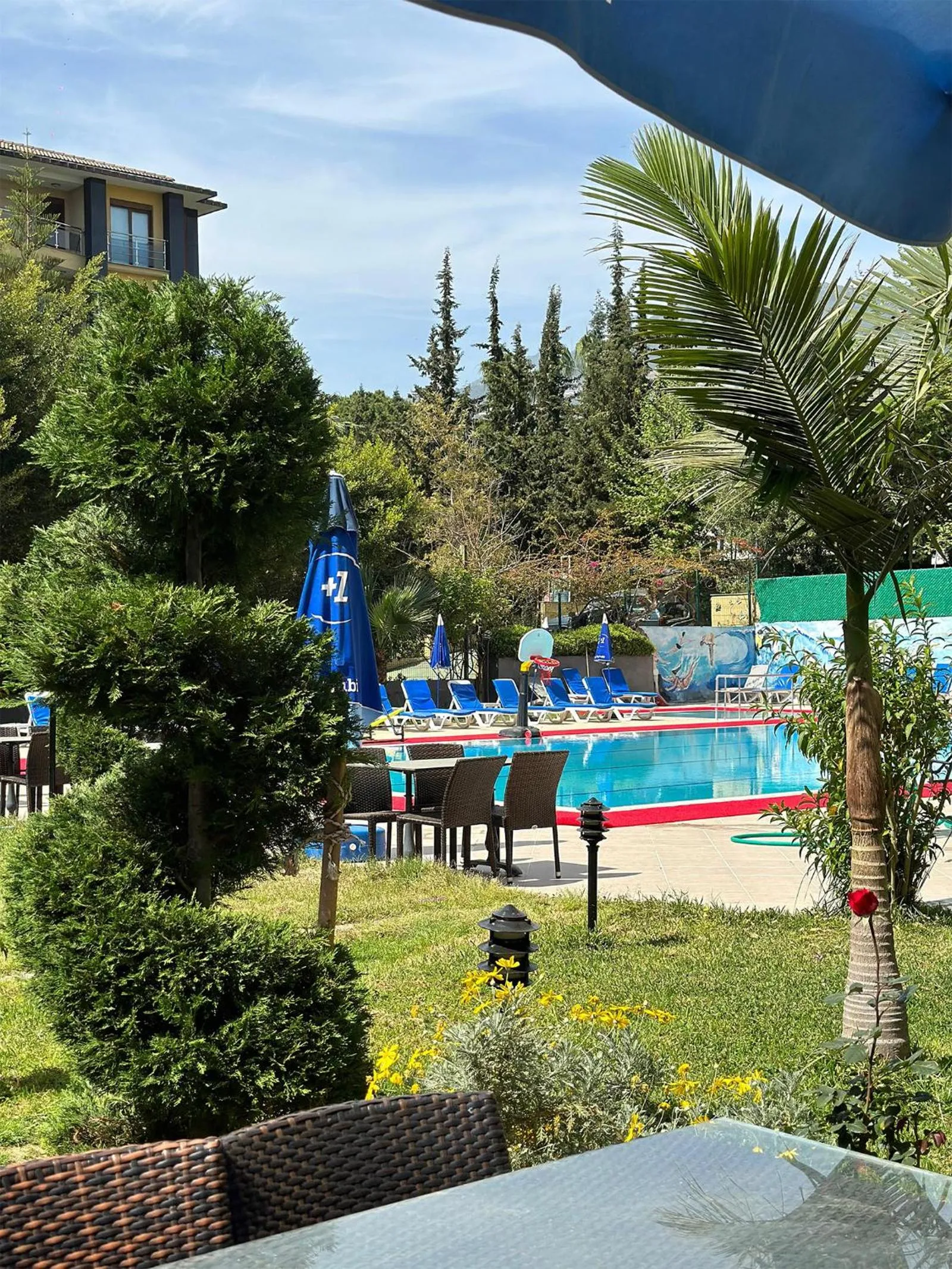 Garden in Grand Alisa Hotel (Ex. Royalisa Hotel)