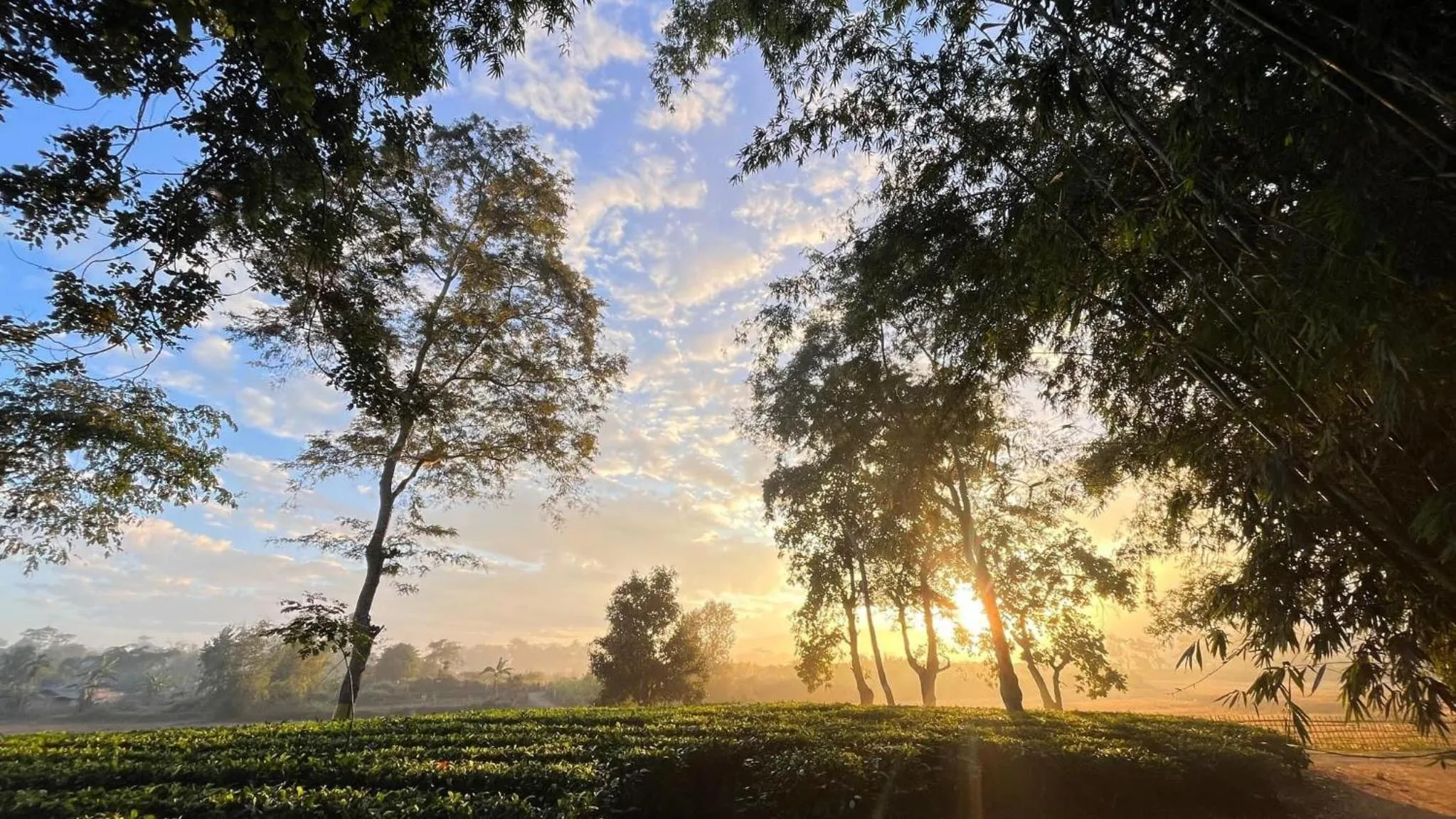 Day in HABITAS RHINO BY NATURE HUNT