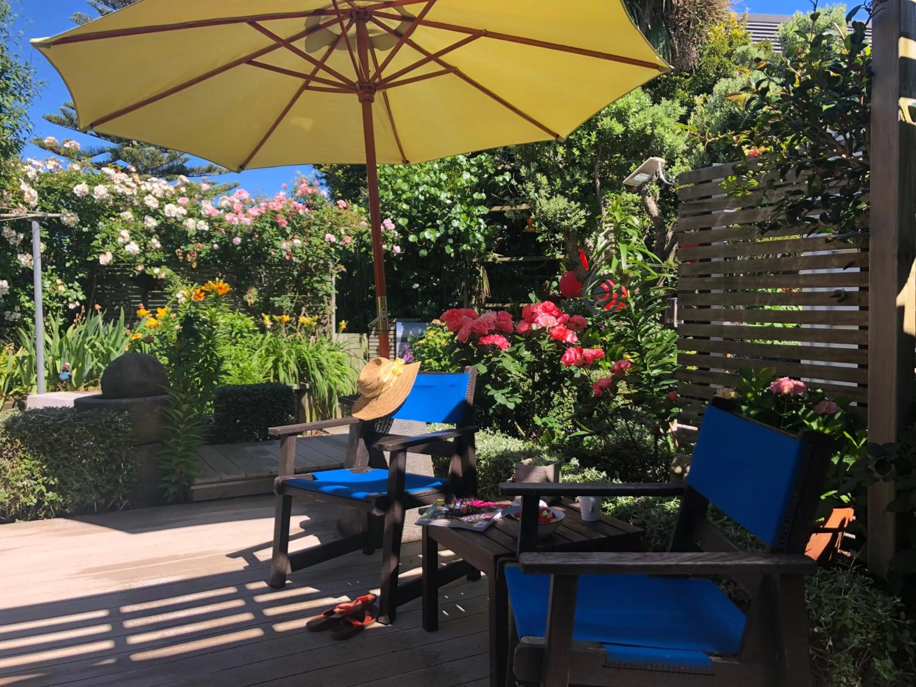 Garden in Top Floor Bed and Breakfast