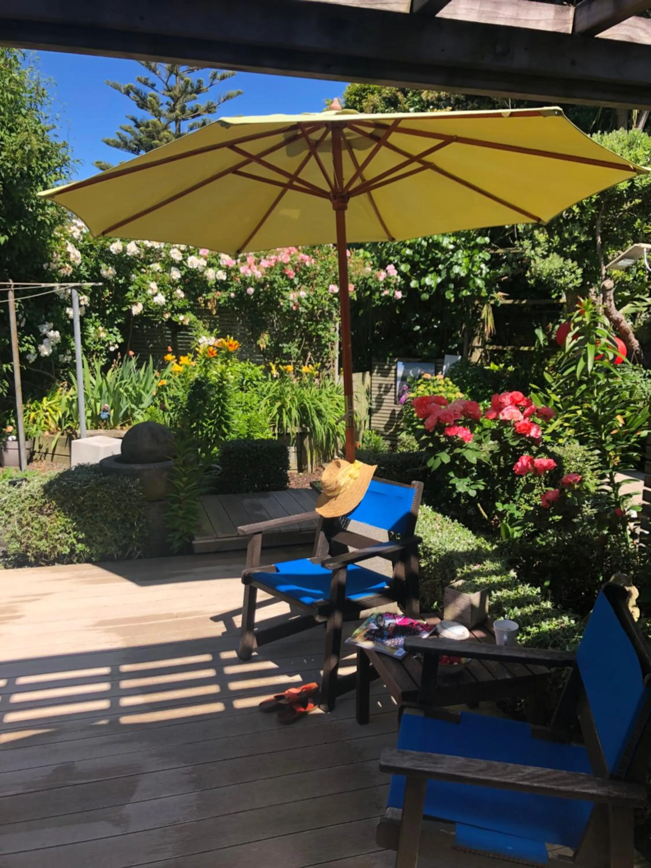 Garden in Top Floor Bed and Breakfast