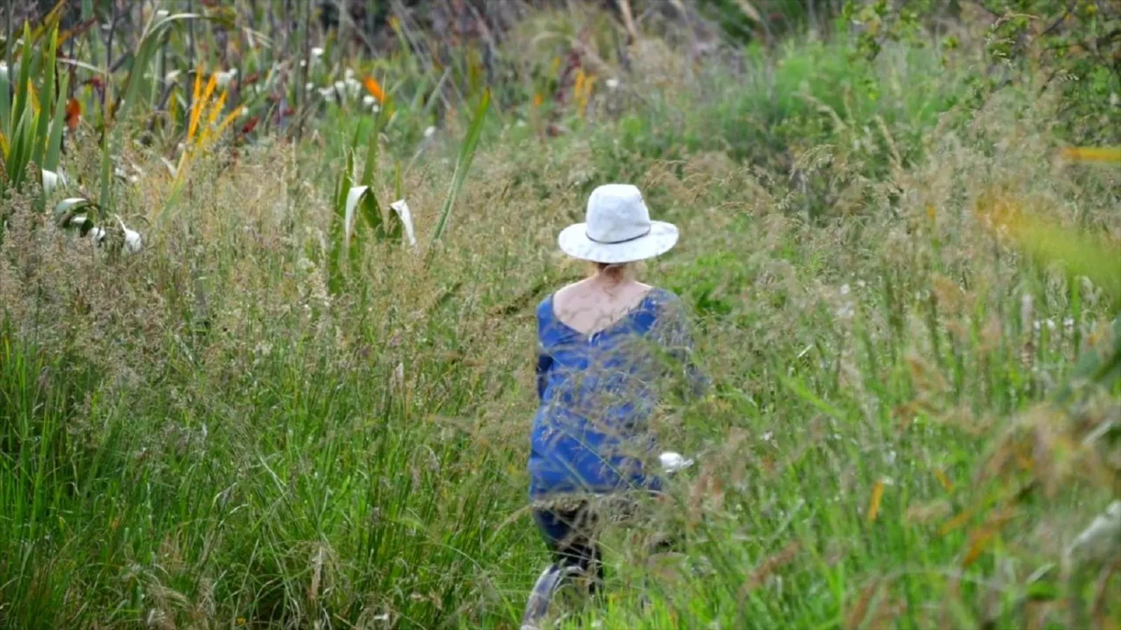Cycling in Top Floor Bed and Breakfast