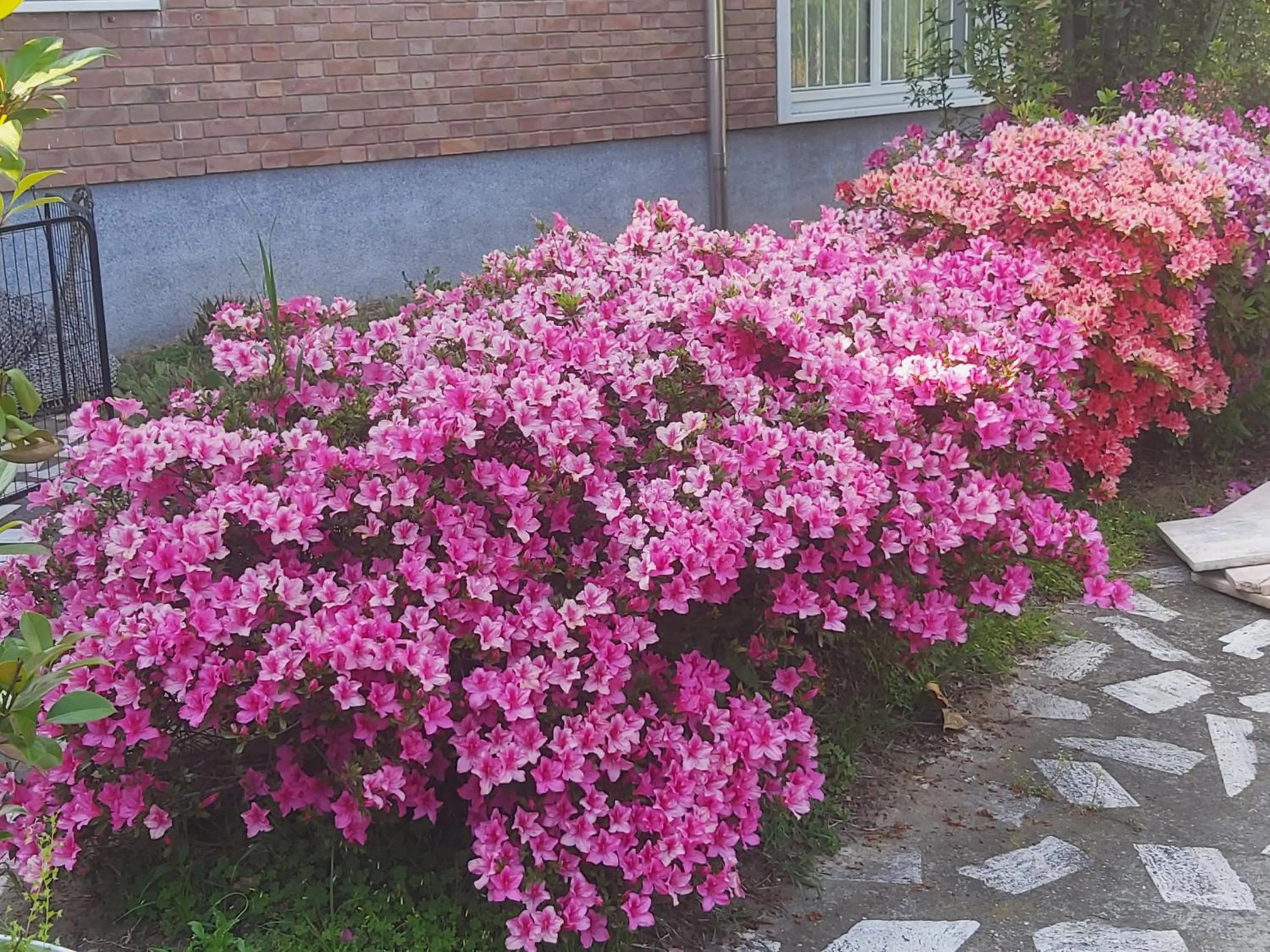 Property building in Villa Silvia Olivetti