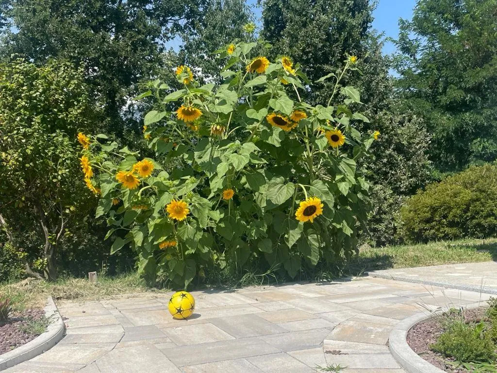 Garden in Villa Silvia Olivetti