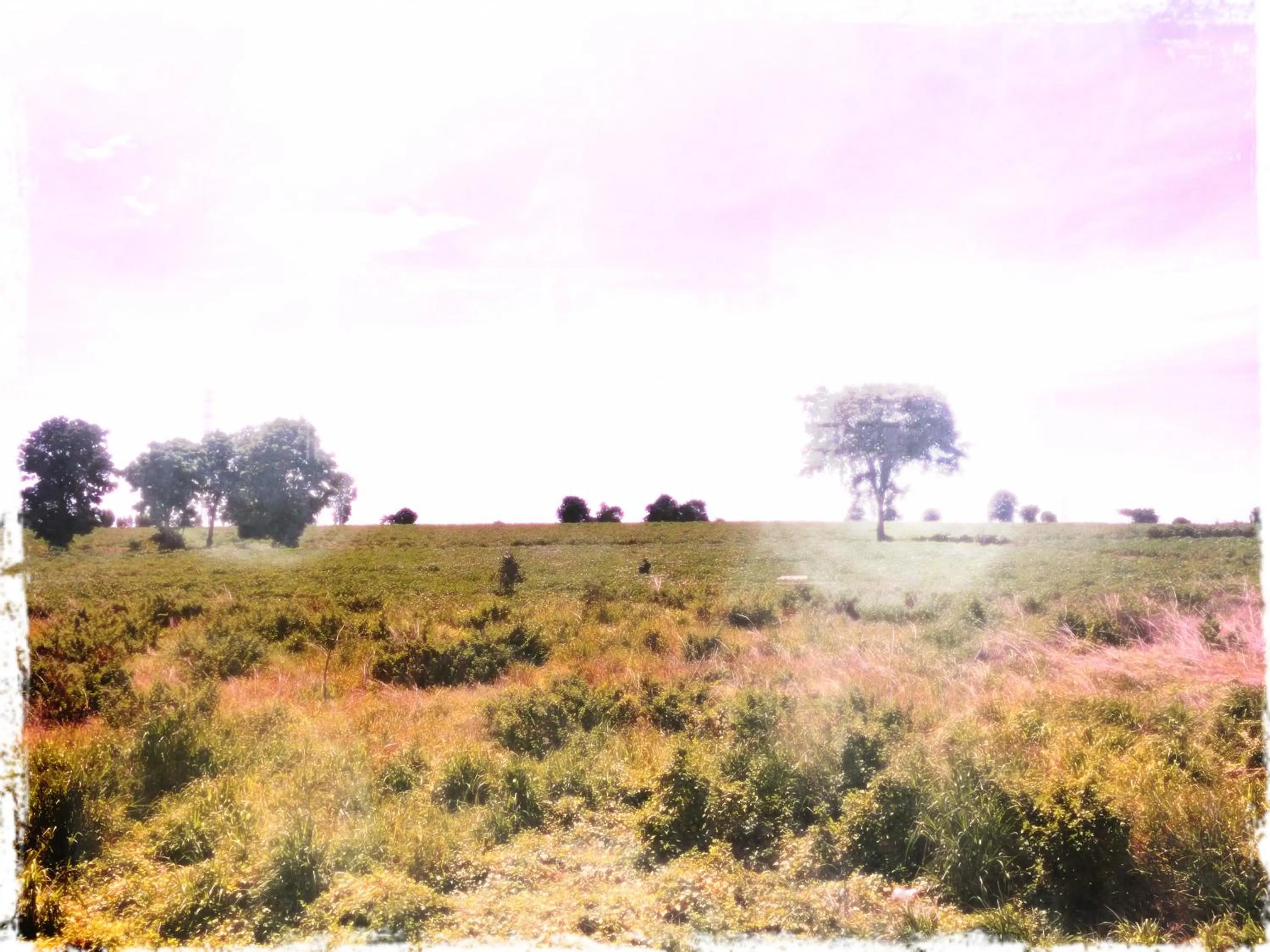View (from property/room) in Thorfun Guesthouse in the Garden