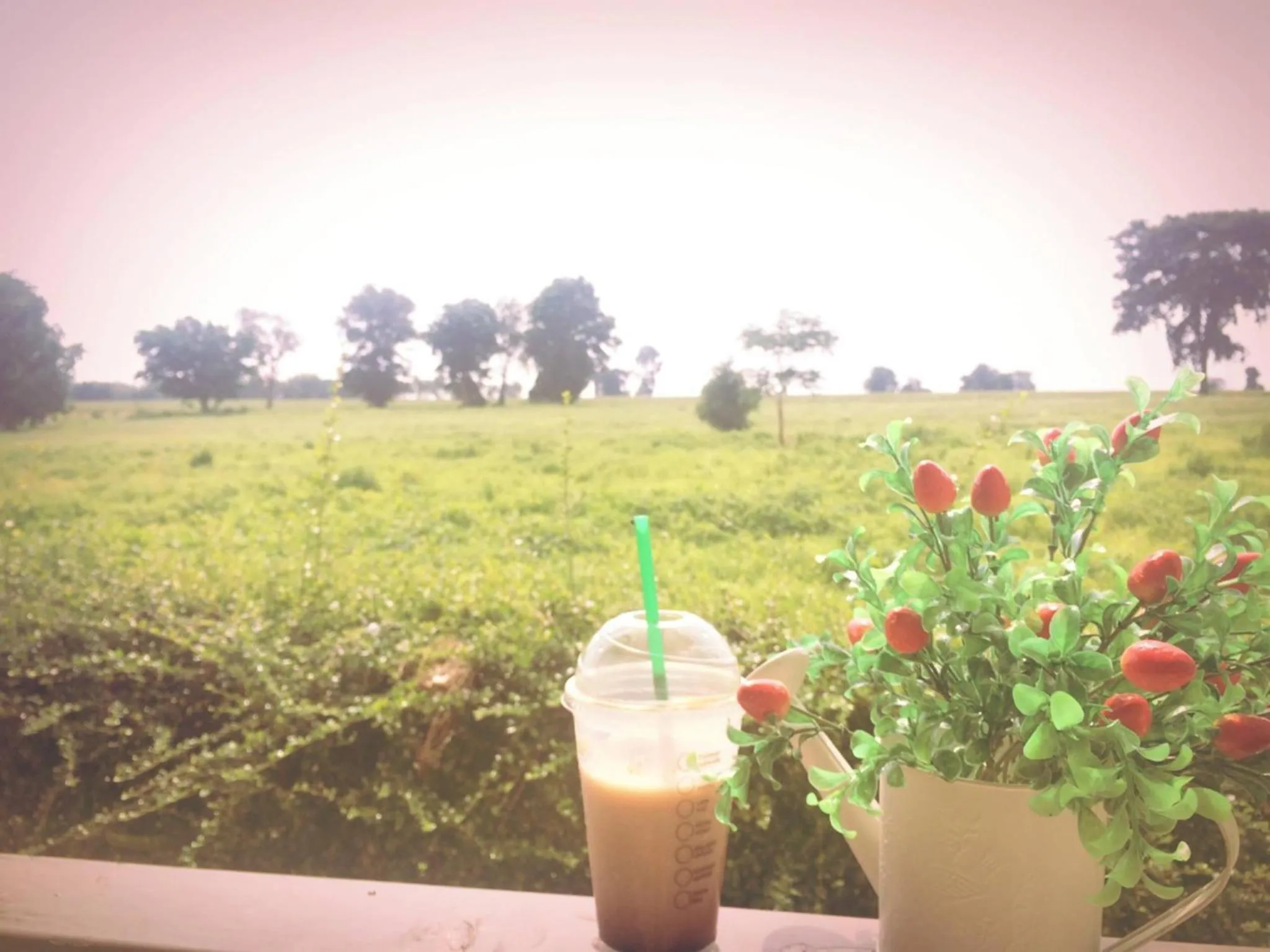 Garden view in Thorfun Guesthouse in the Garden