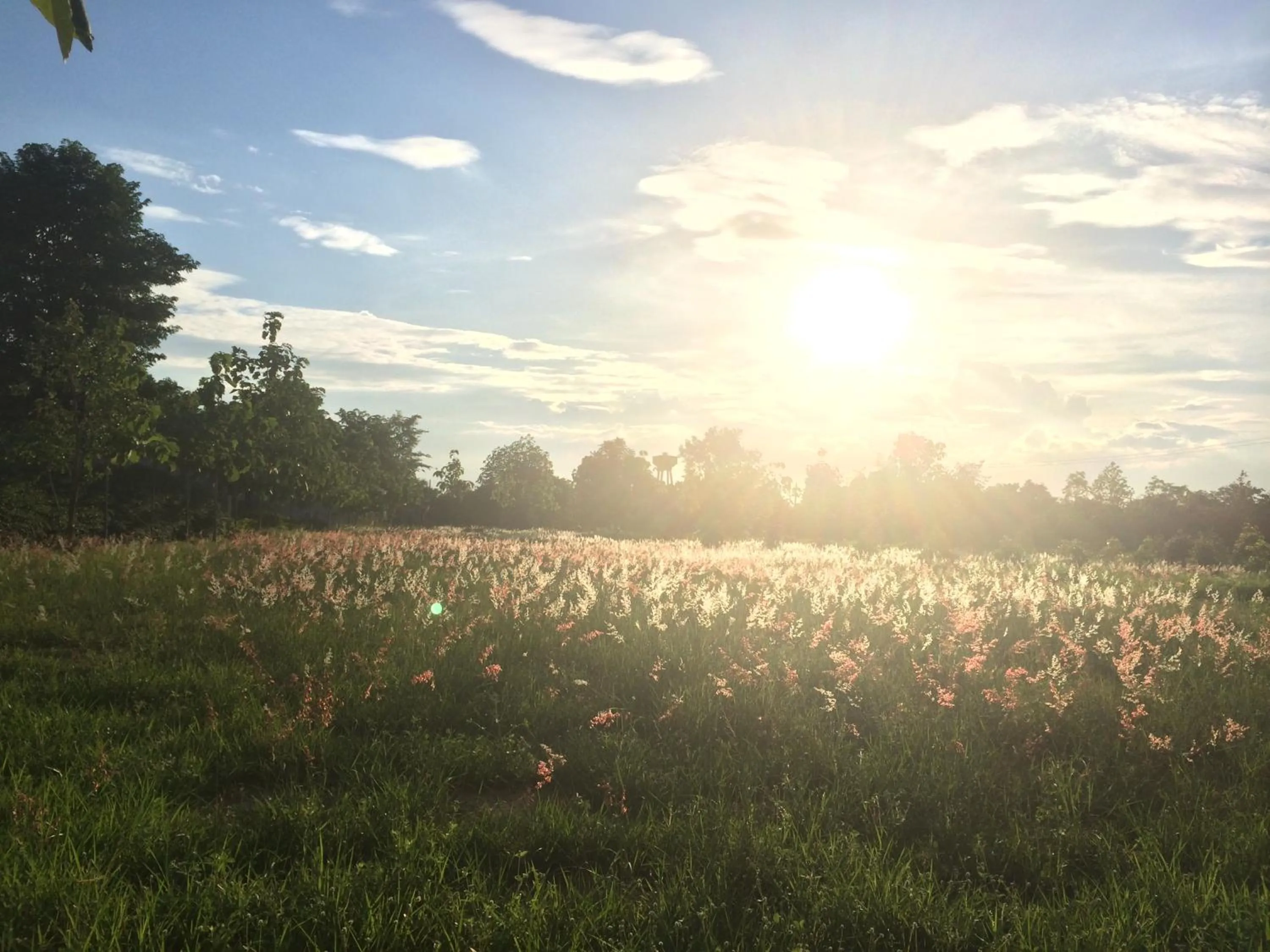 Natural landscape in Thorfun Guesthouse in the Garden