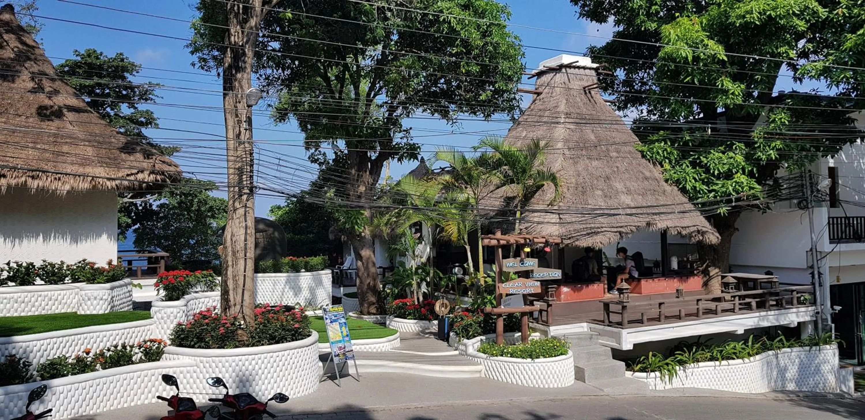 Natural landscape in Clear View Resort