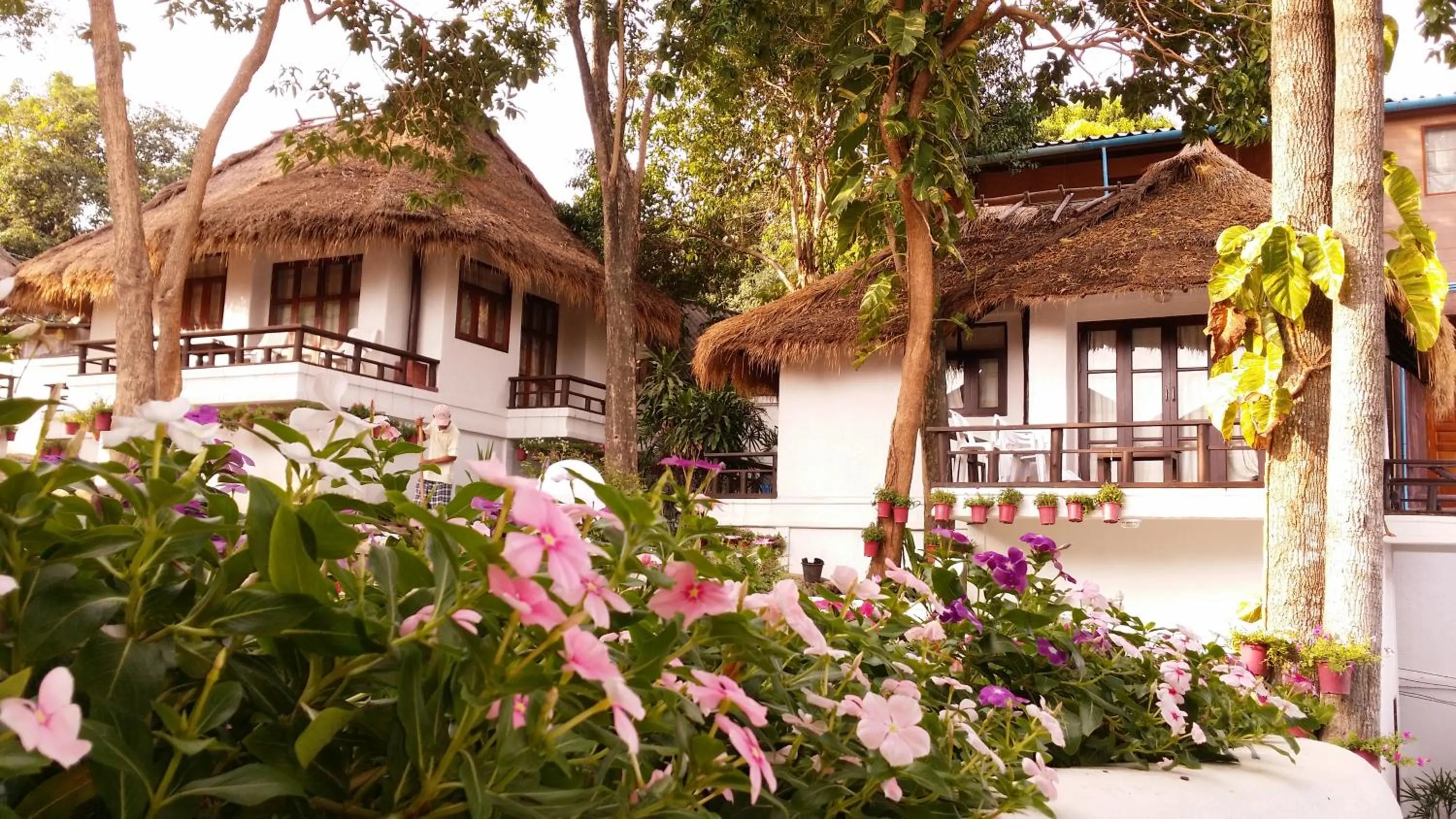 Off site in Clear View Resort