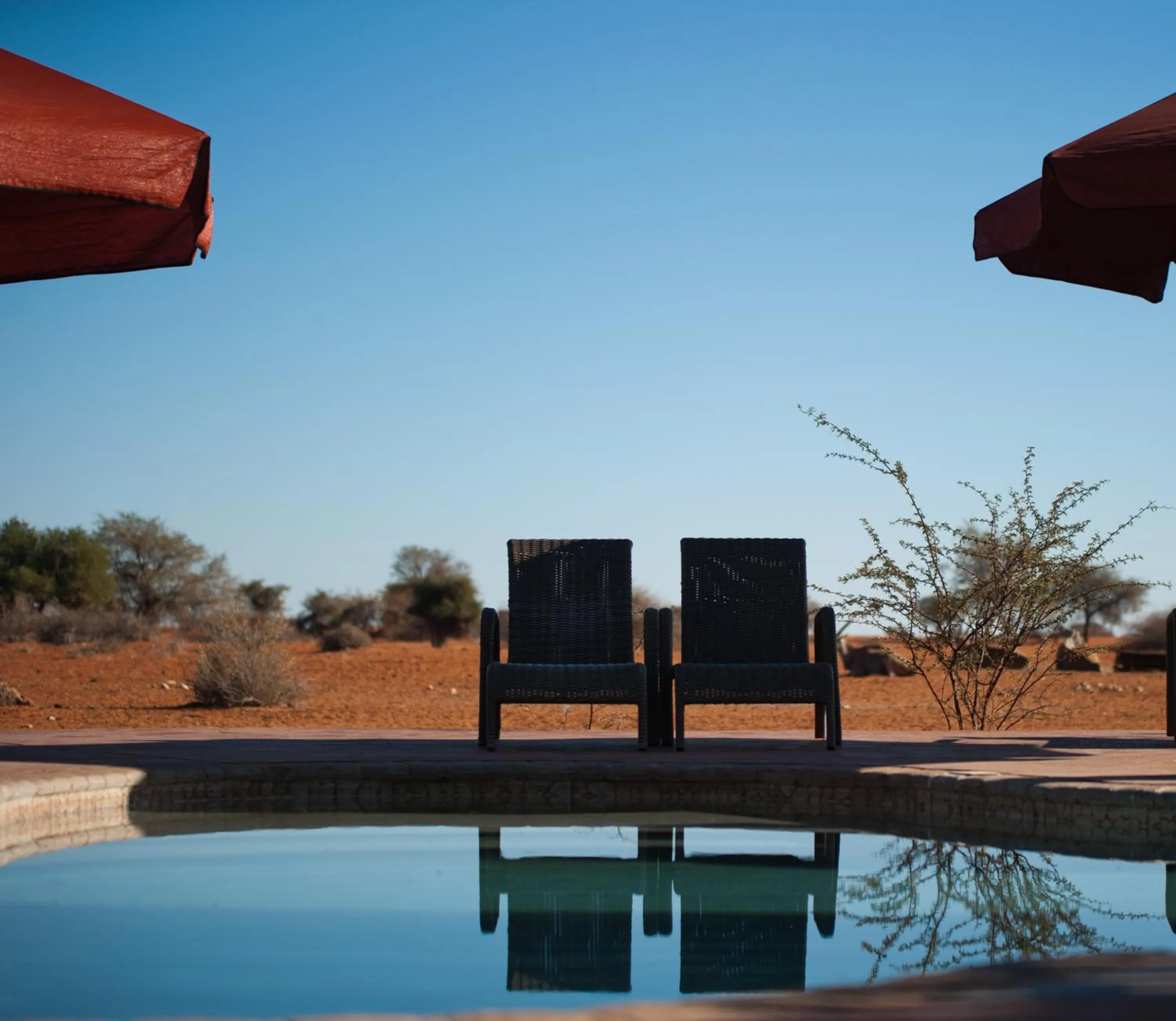 Swimming pool in Gondwana Kalahari Anib Lodge