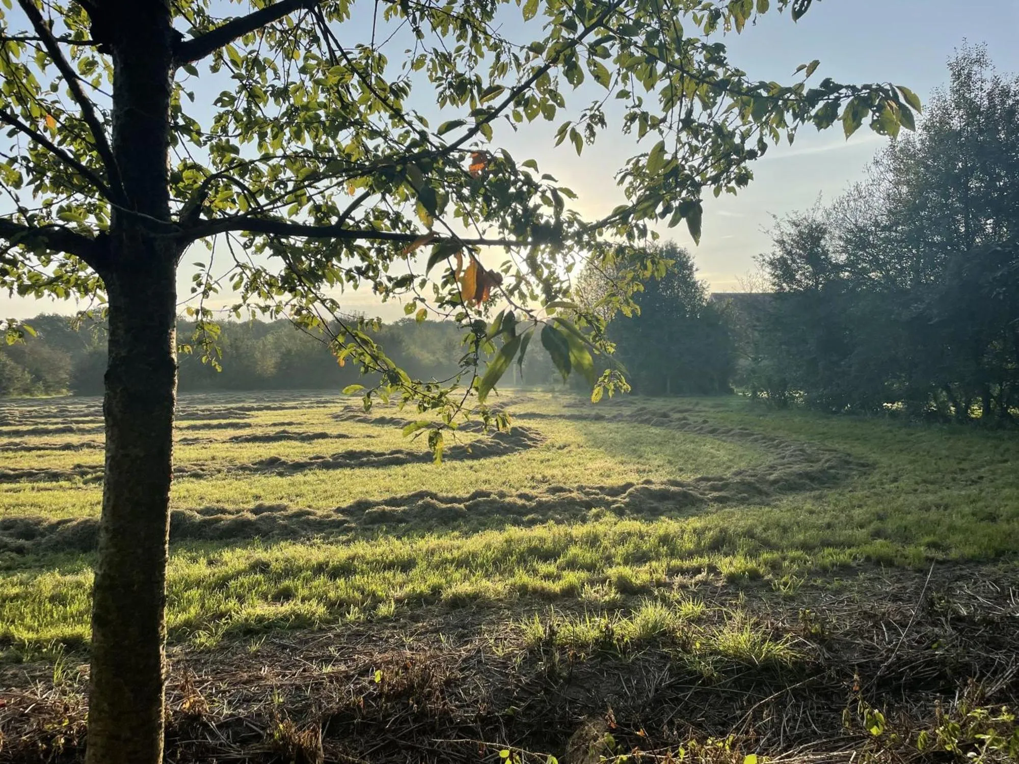 Vakantiehuis B&B Familie Versantvoort