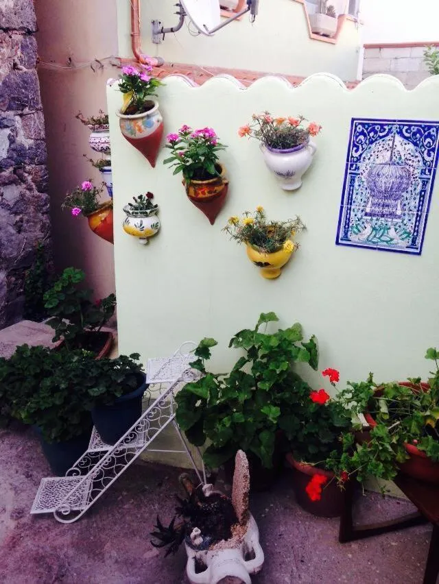 Garden in Casa Castori