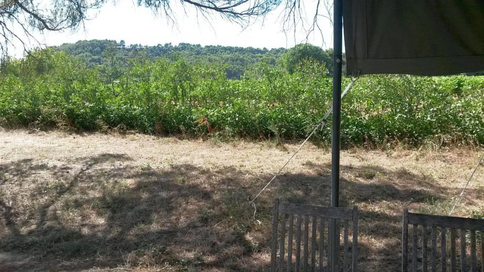 View (from property/room) in Masmazan