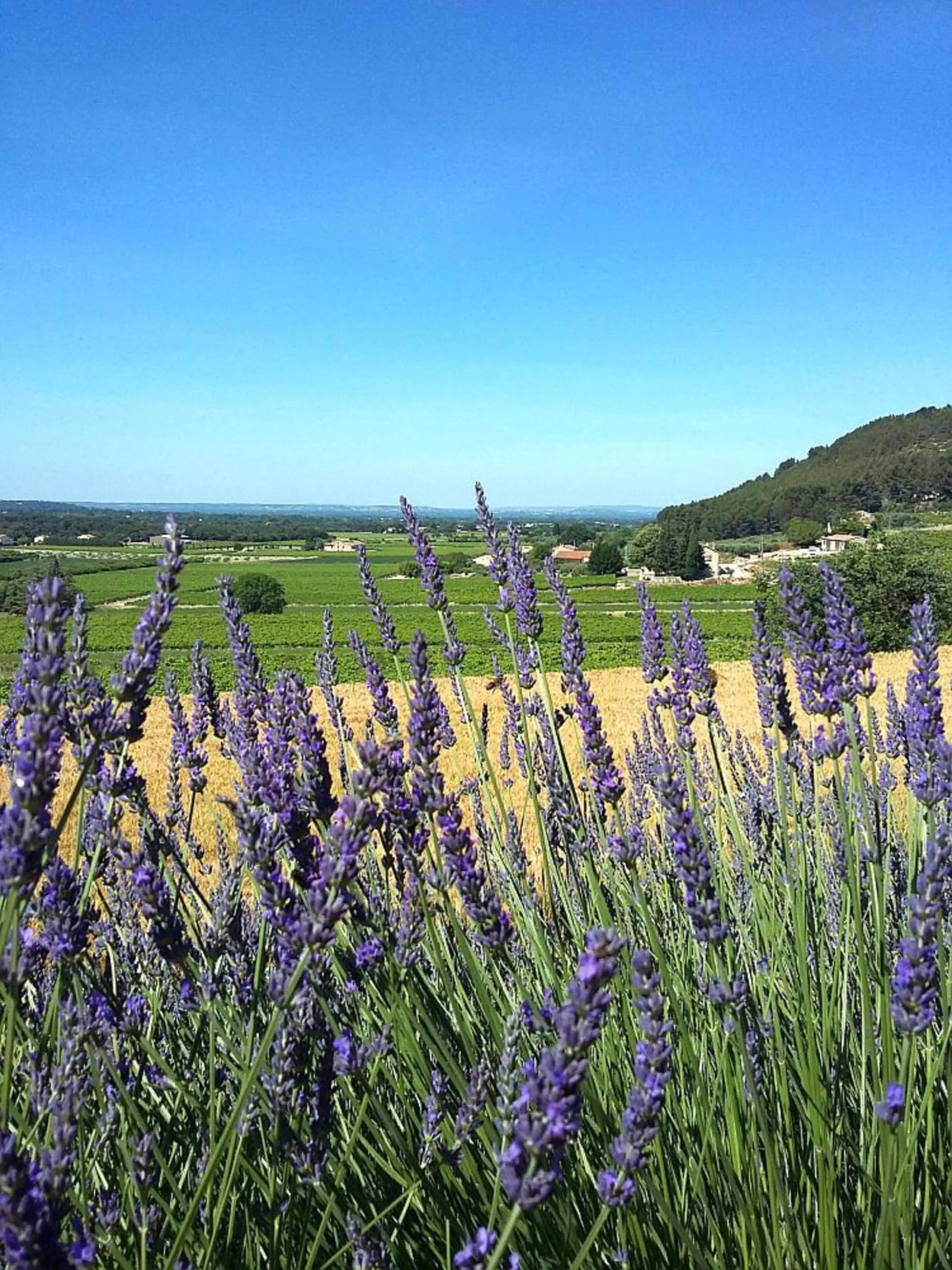 Garden view in Masmazan