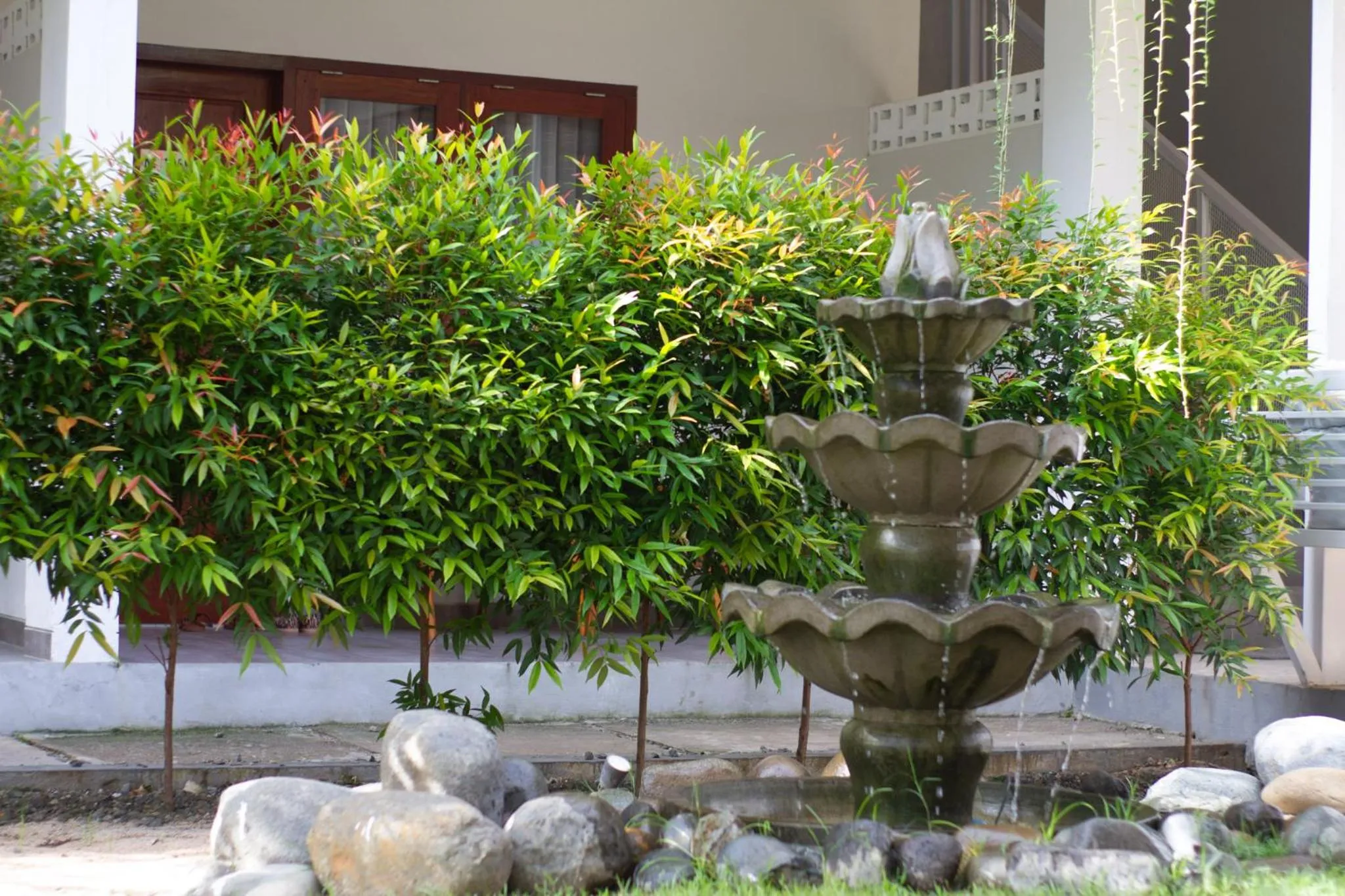 Garden in Maluk Stay