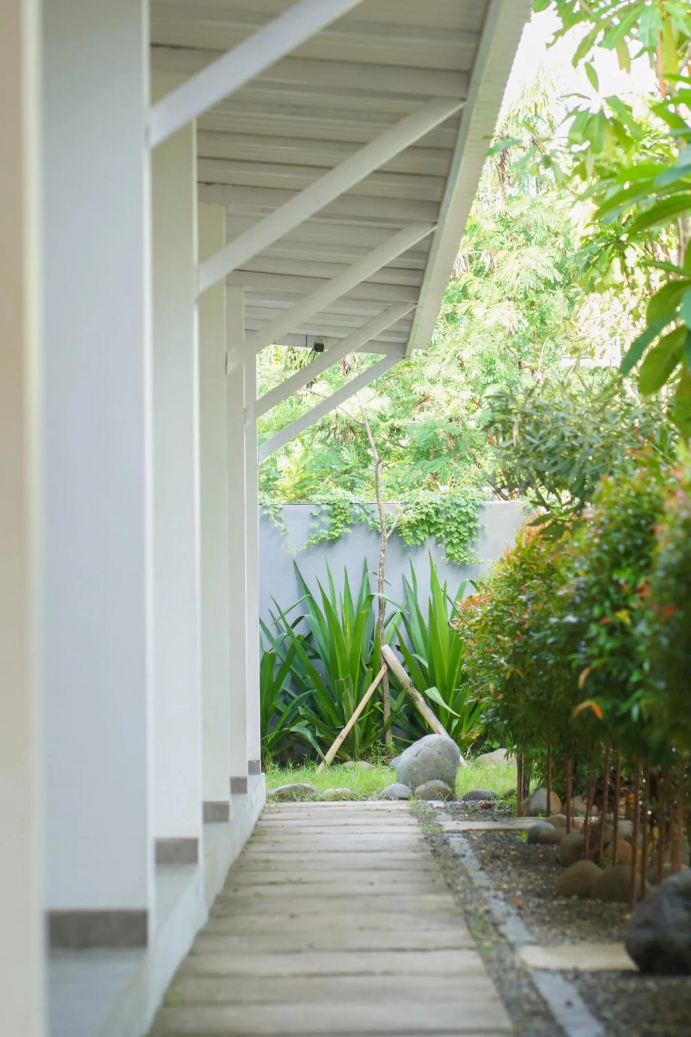 Garden in Maluk Stay