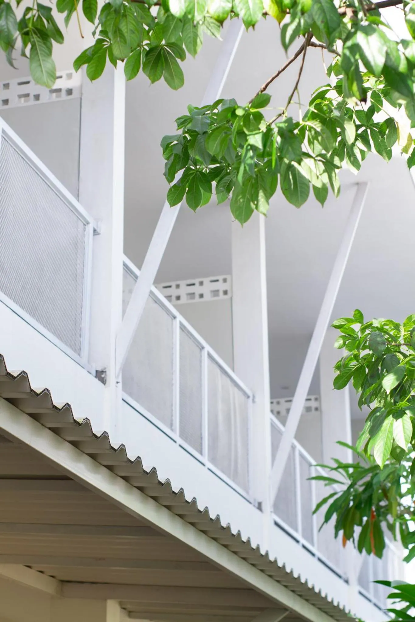 Balcony/Terrace in Maluk Stay