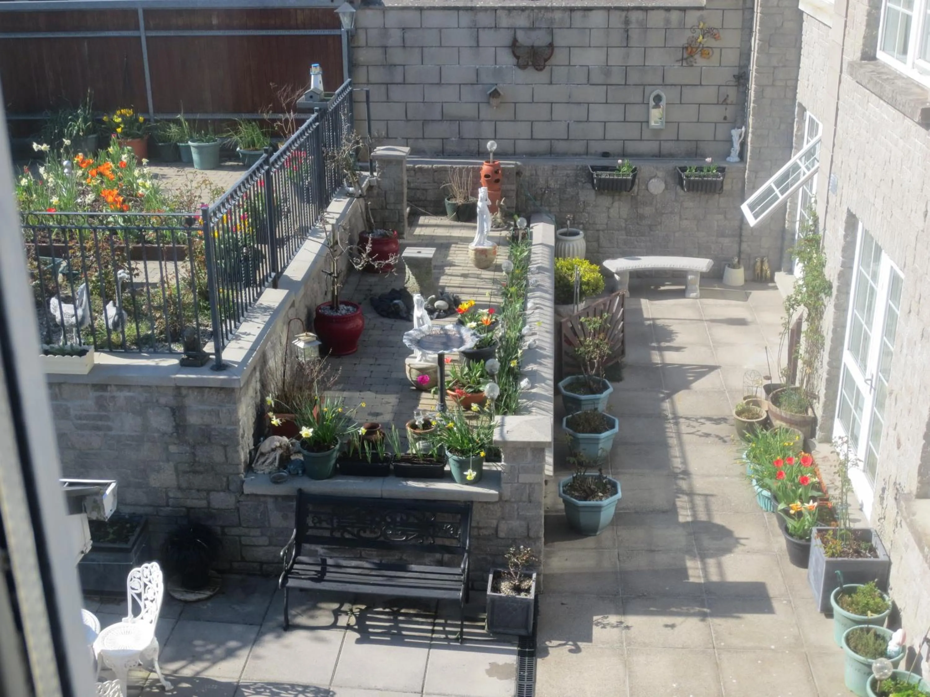 Garden view in St Judes B&B