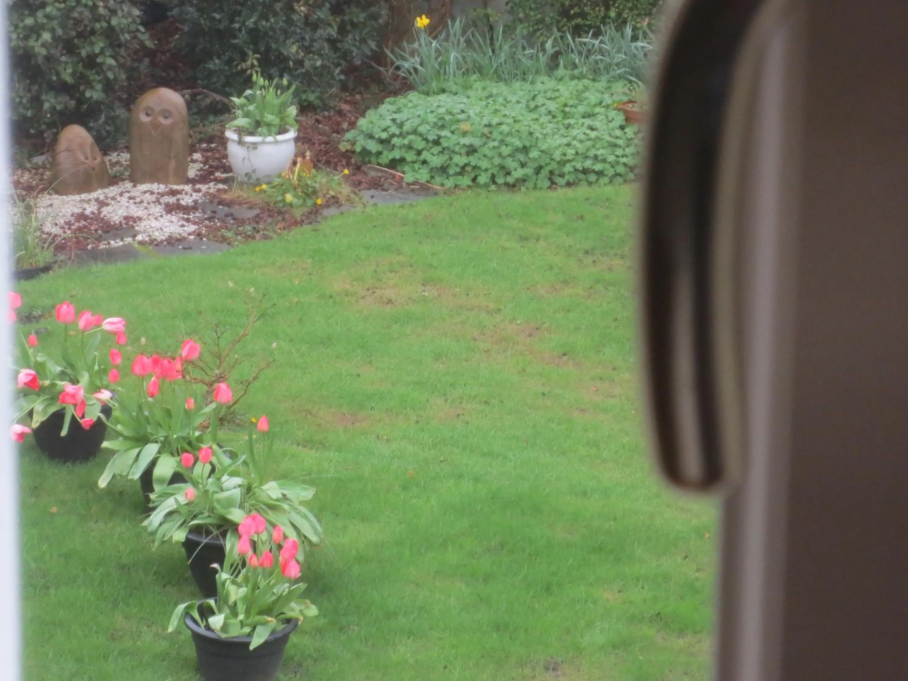 Garden view in St Judes B&B