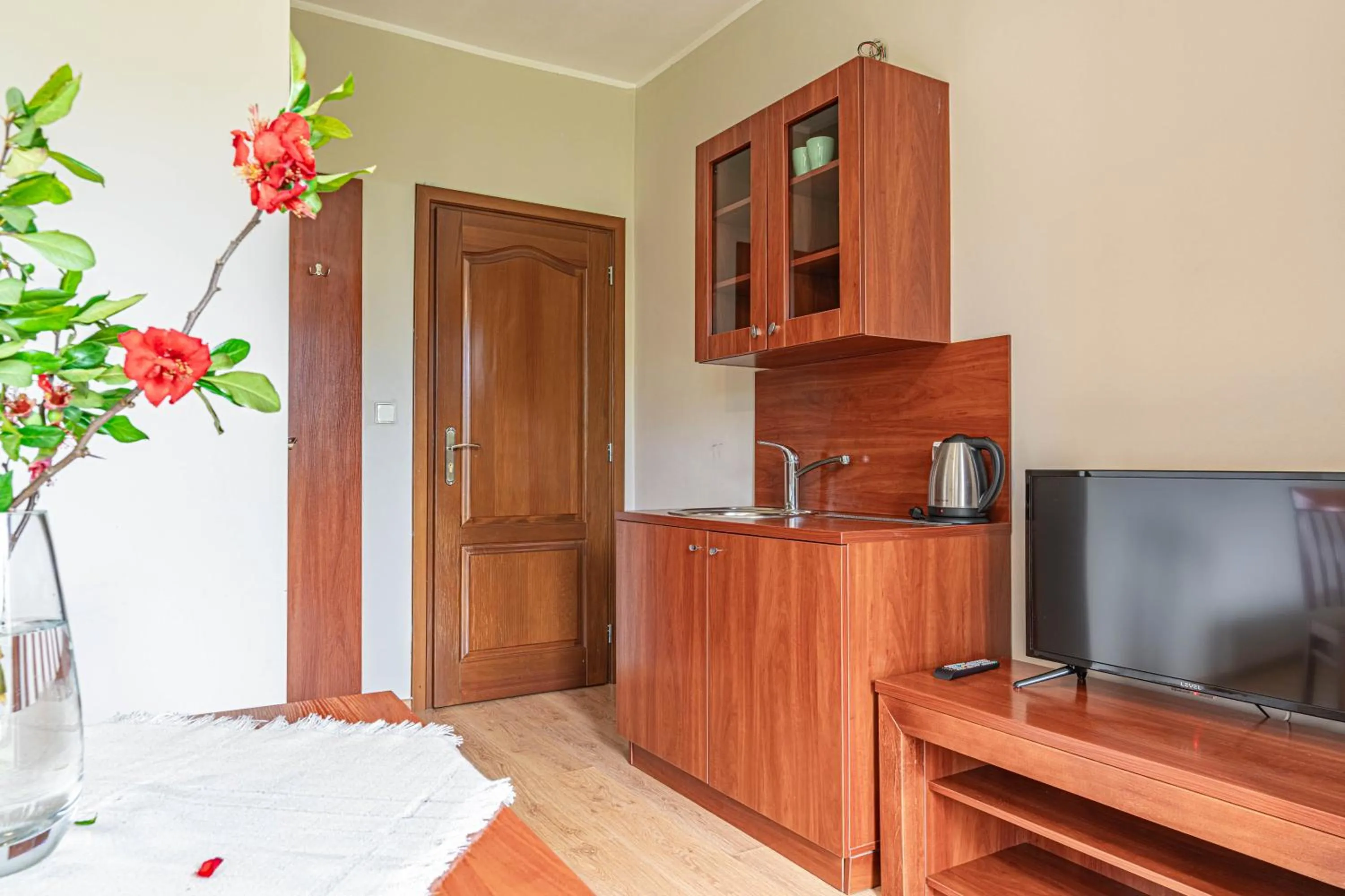 TV and multimedia in Willa Serafin-basen, sauny i jacuzzi w Willa Baciarka dodatkowo płatne