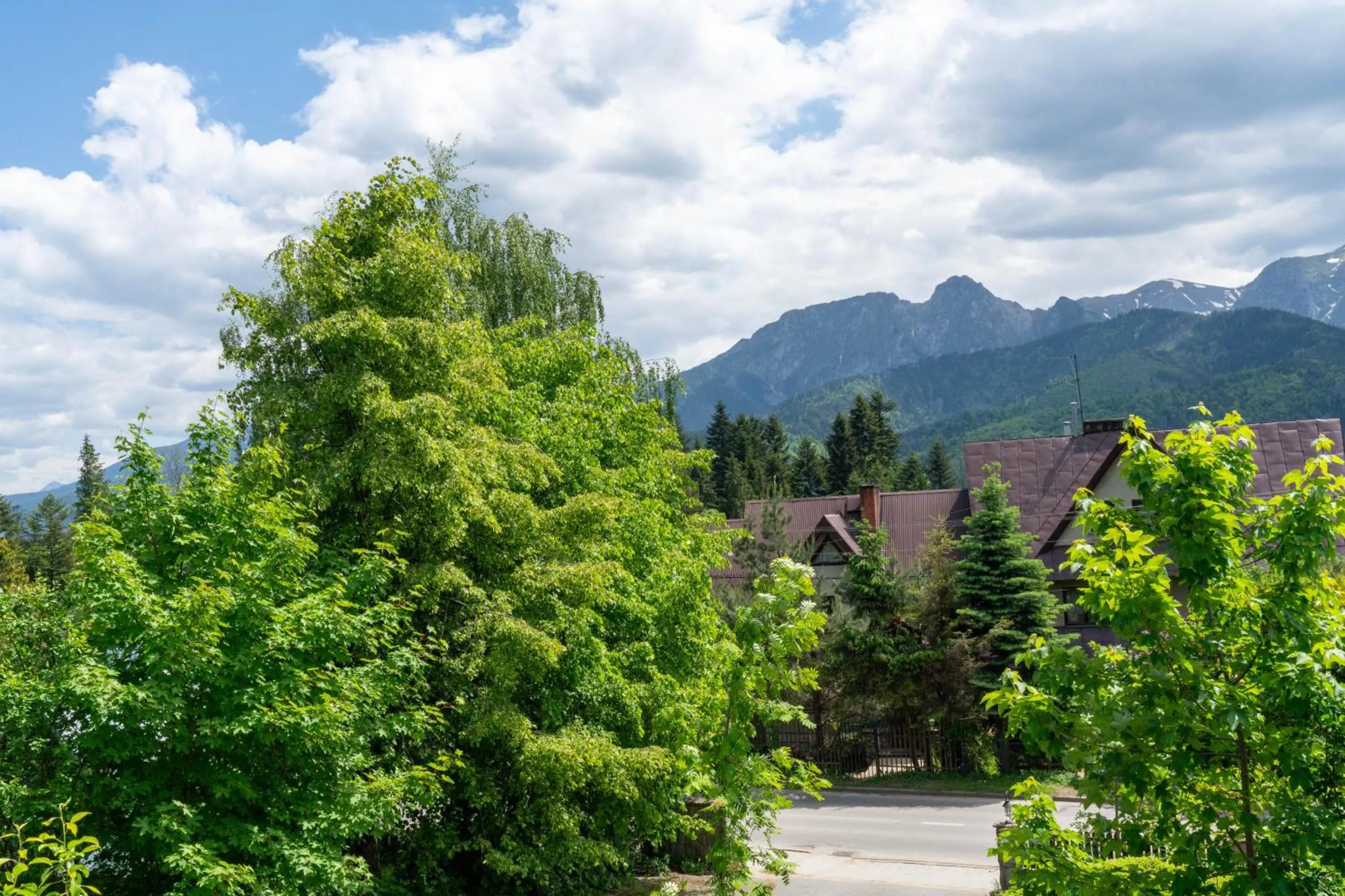 Mountain view in Willa Serafin-basen, sauny i jacuzzi w Willa Baciarka dodatkowo płatne