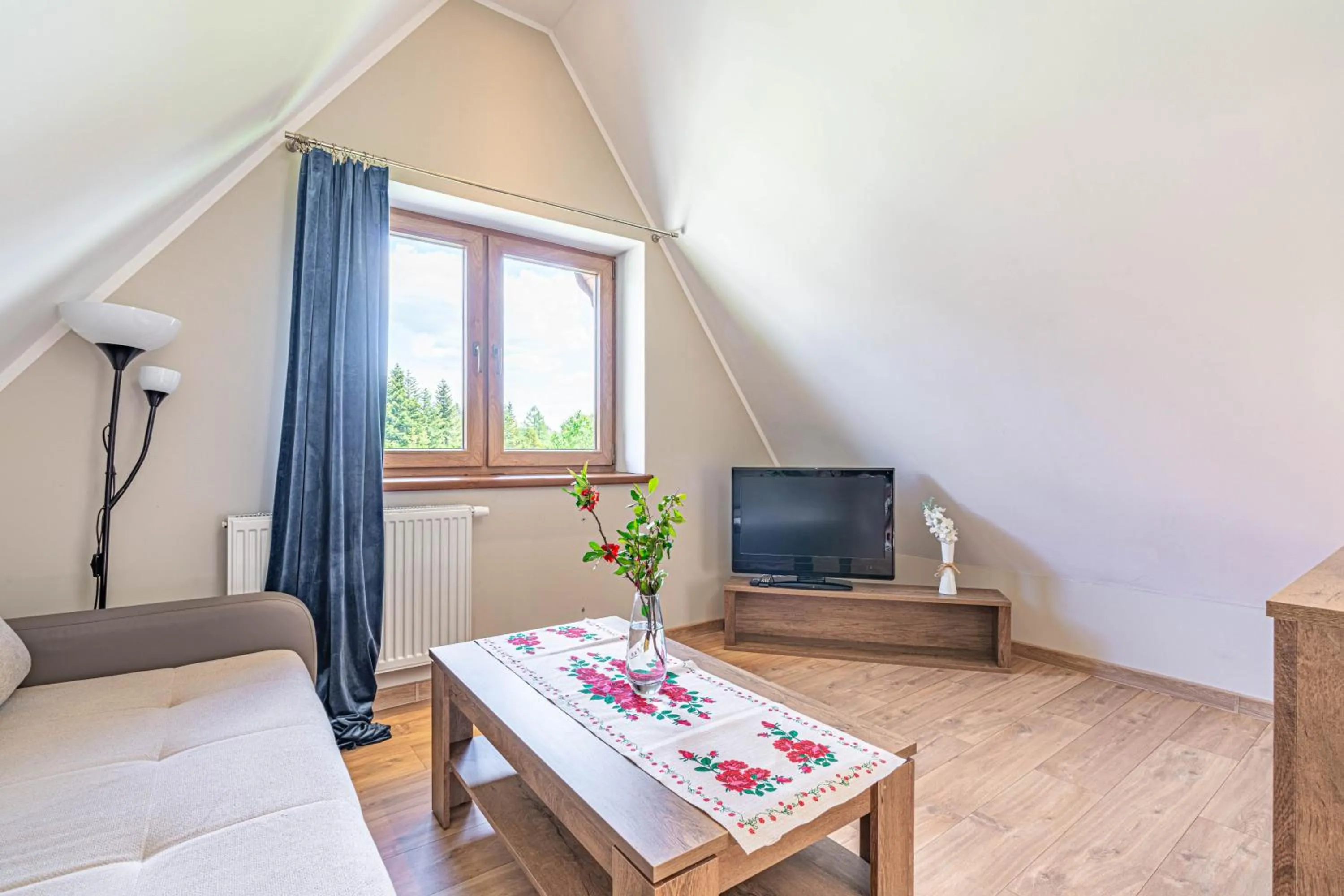 TV and multimedia in Willa Serafin-basen, sauny i jacuzzi w Willa Baciarka dodatkowo płatne