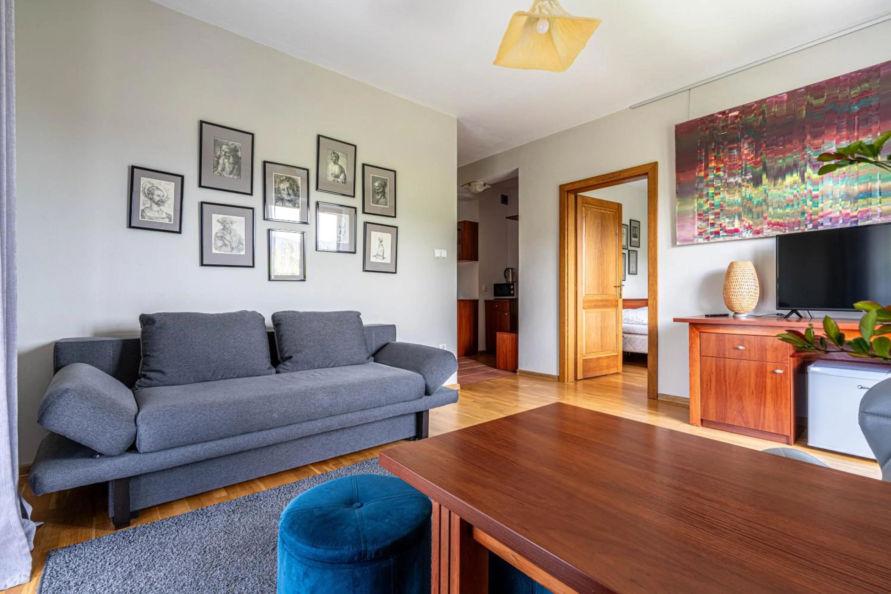 TV and multimedia in Willa Serafin-basen, sauny i jacuzzi w Willa Baciarka dodatkowo płatne