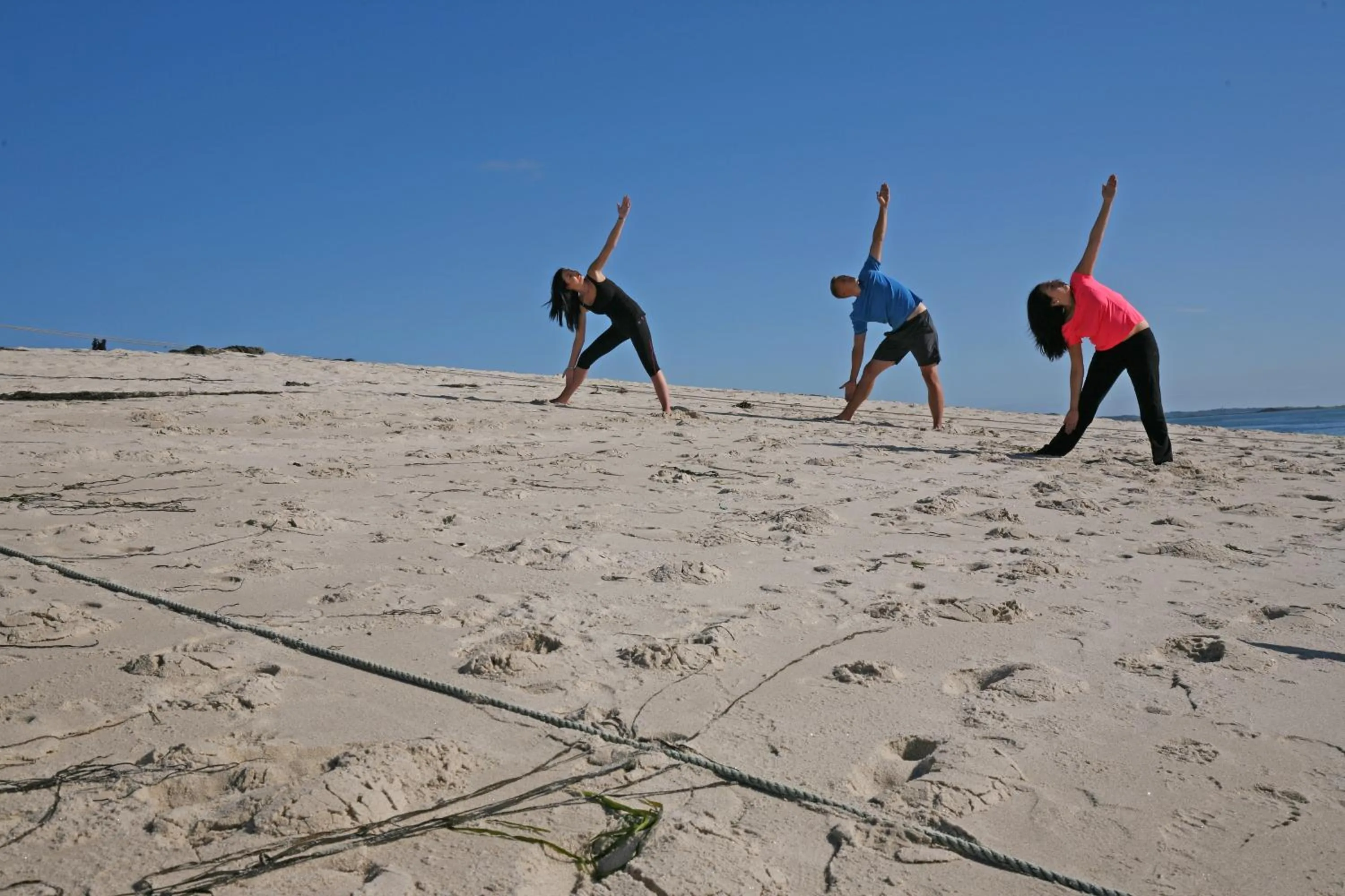 Animals in Karma St. Martin's