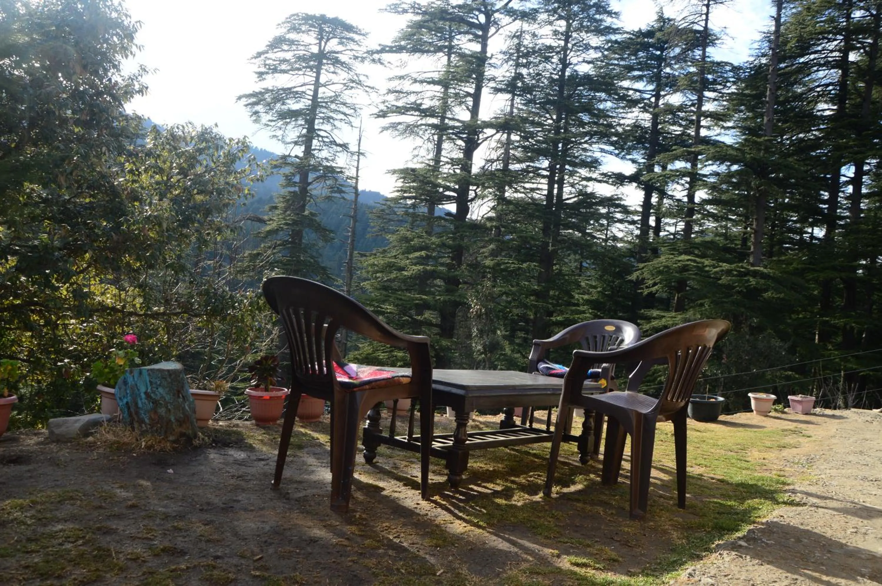 Garden in Green valley homestay