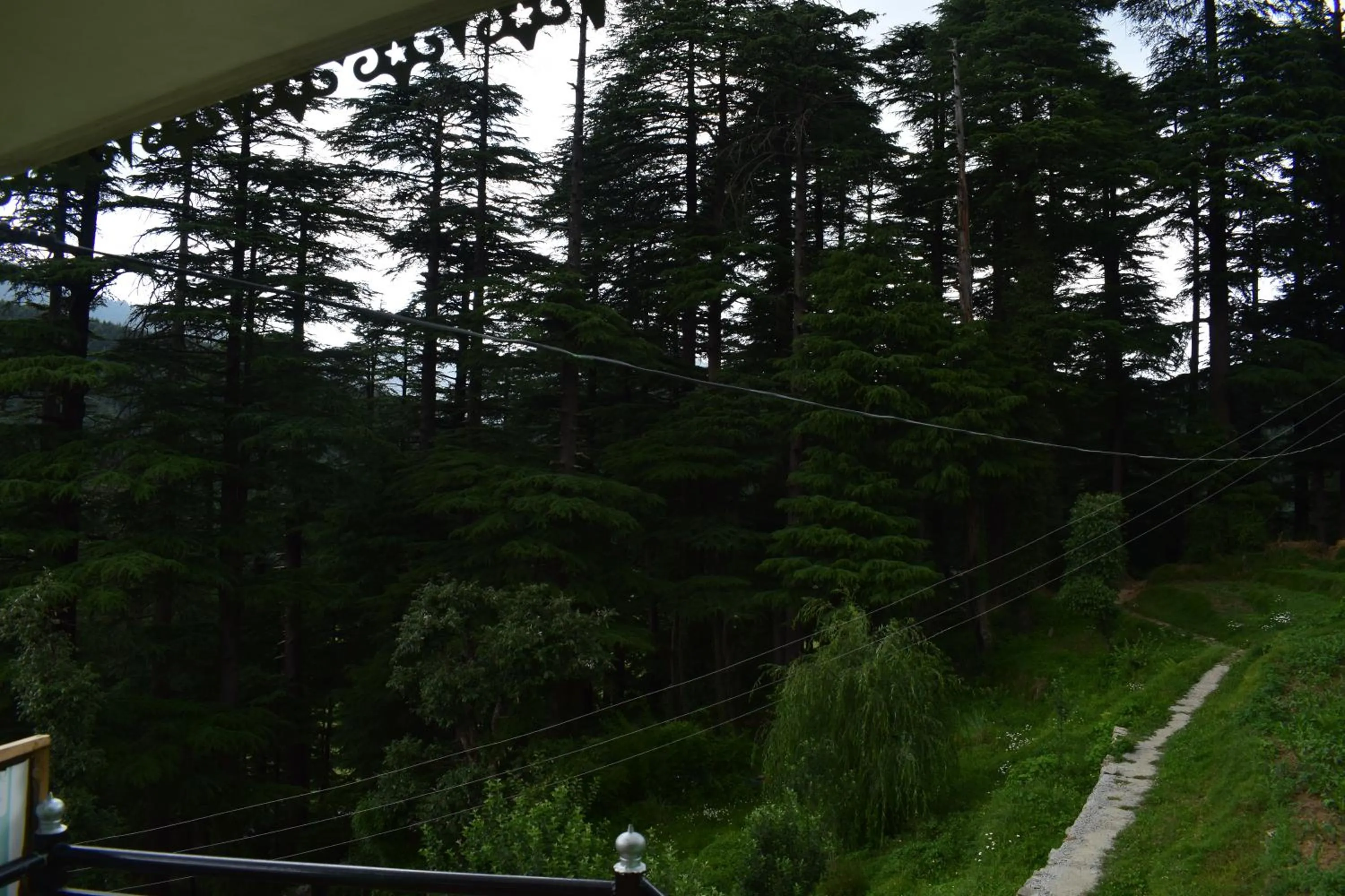 Day in Green valley homestay